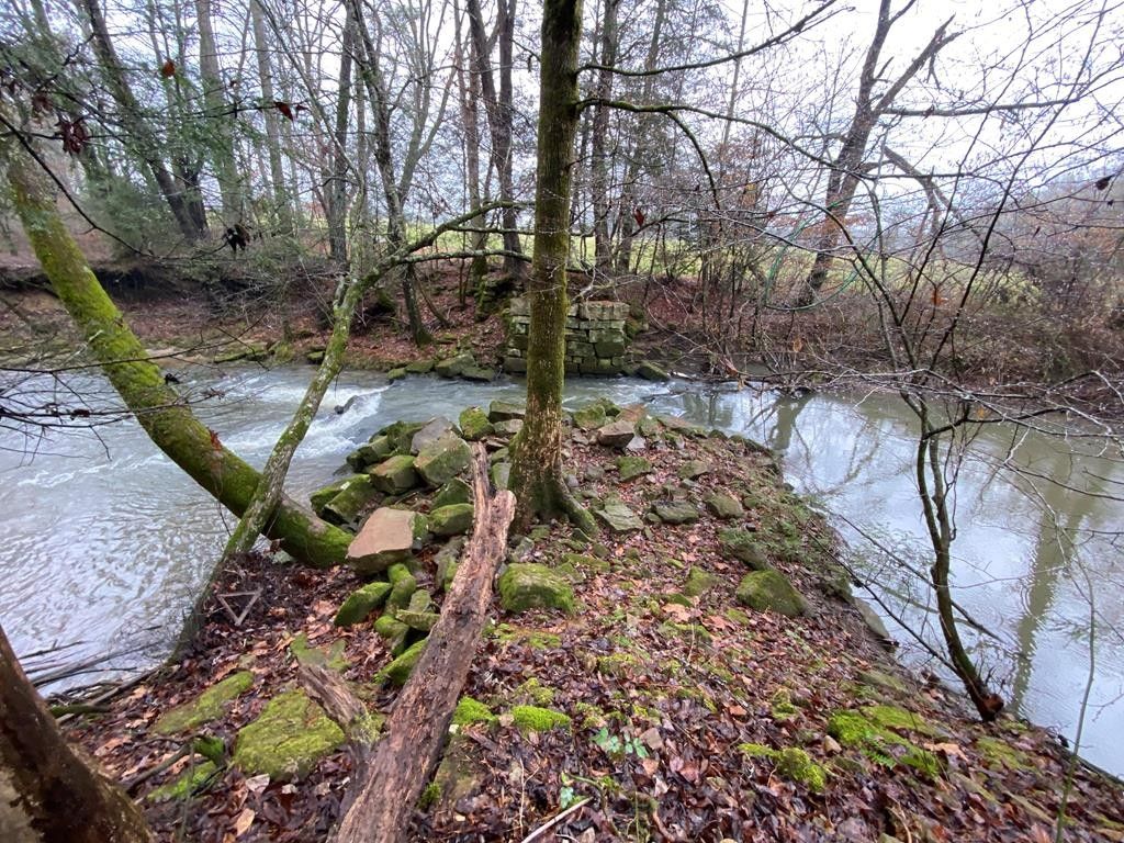 Pikeville, Bledsoe County, TN Undeveloped Land for sale Property ID