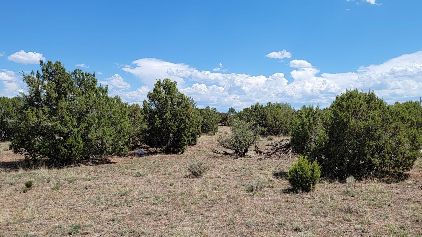 Concho, Apache County, AZ Recreational Property, Homesites for sale