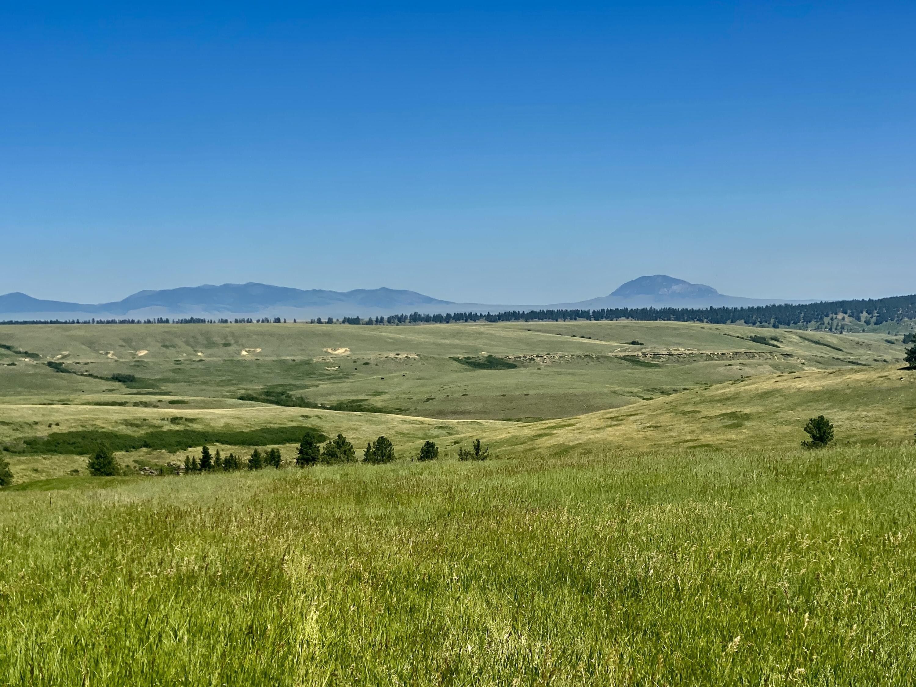 Forest Grove, Fergus County, MT Undeveloped Land for sale Property ID