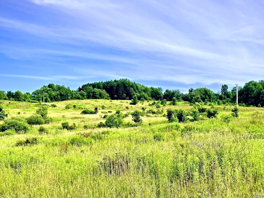 Camden, Oneida County, NY Undeveloped Land for sale Property ID 414322948 LandWatch