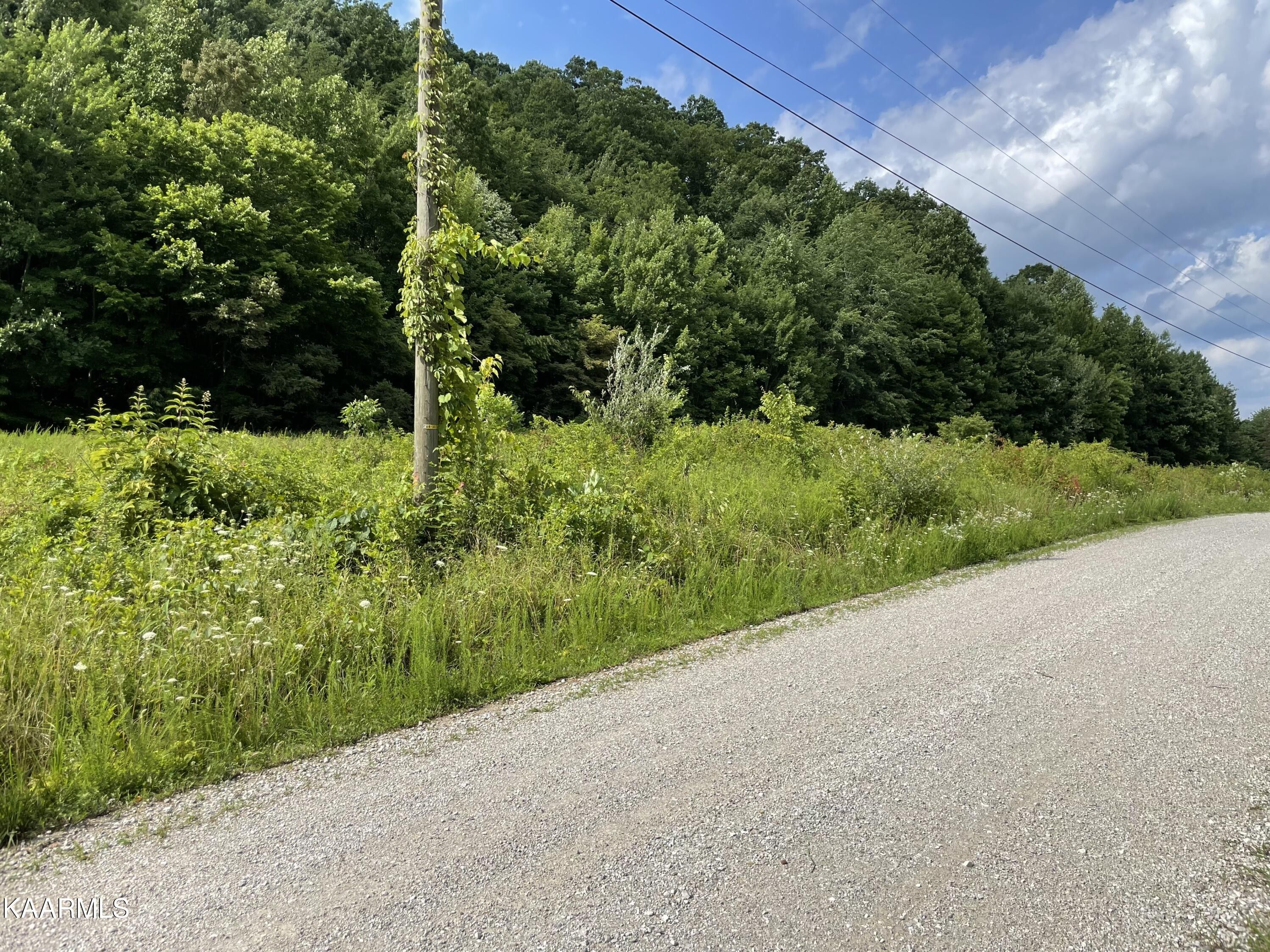 Pioneer, Campbell County, TN Undeveloped Land for sale Property ID