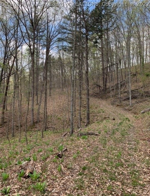 Branchland, Lincoln County, WV Undeveloped Land for sale Property ID