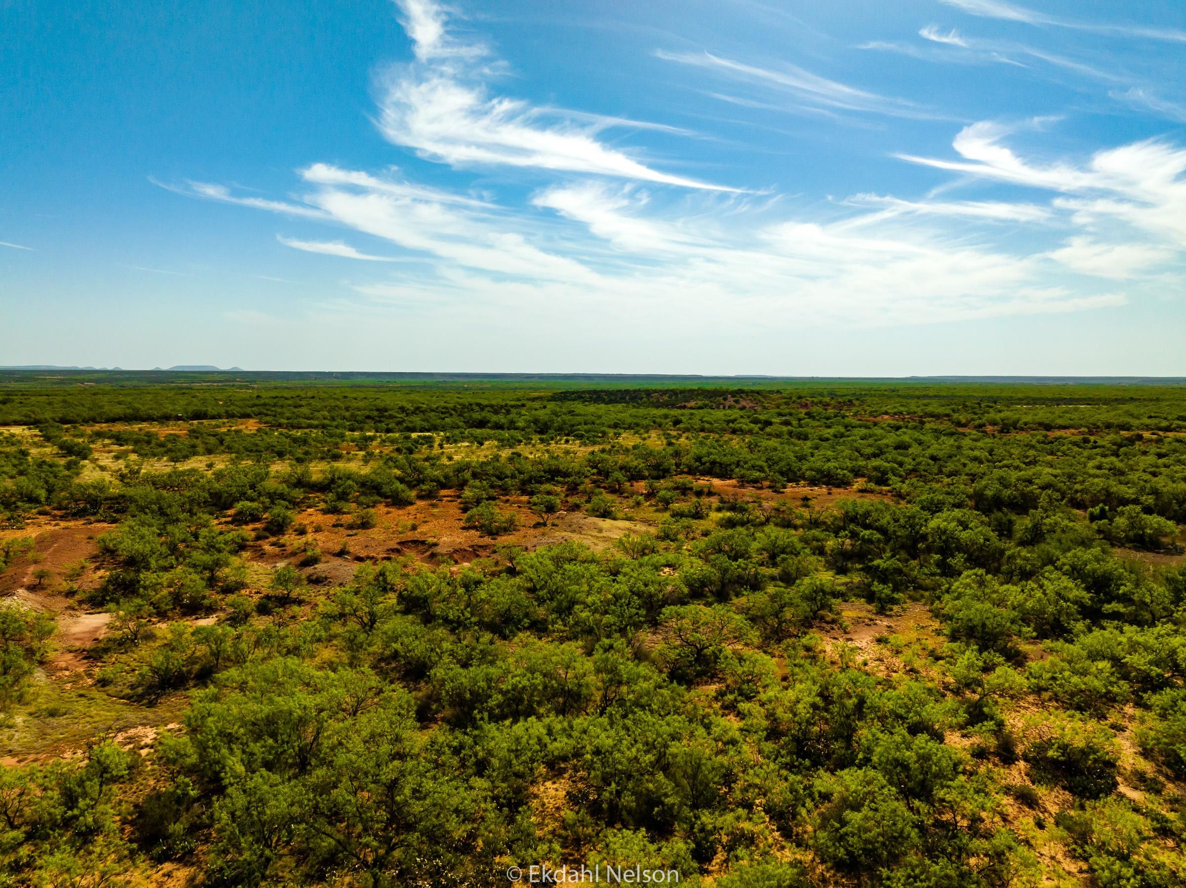 Robert Lee, Coke County, TX Farms and Ranches, Recreational Property