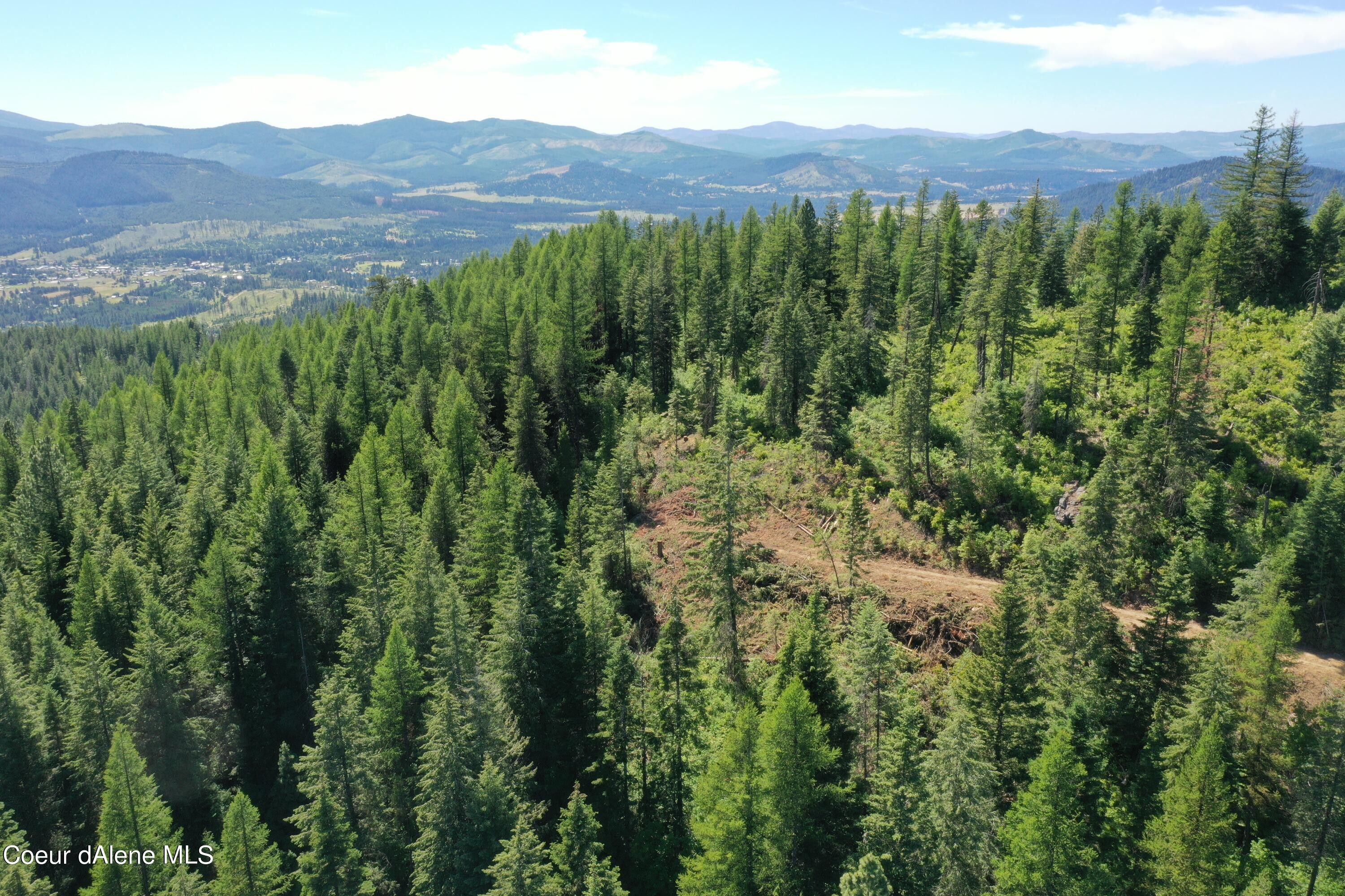 Saint Maries, Benewah County, ID Undeveloped Land for sale Property ID