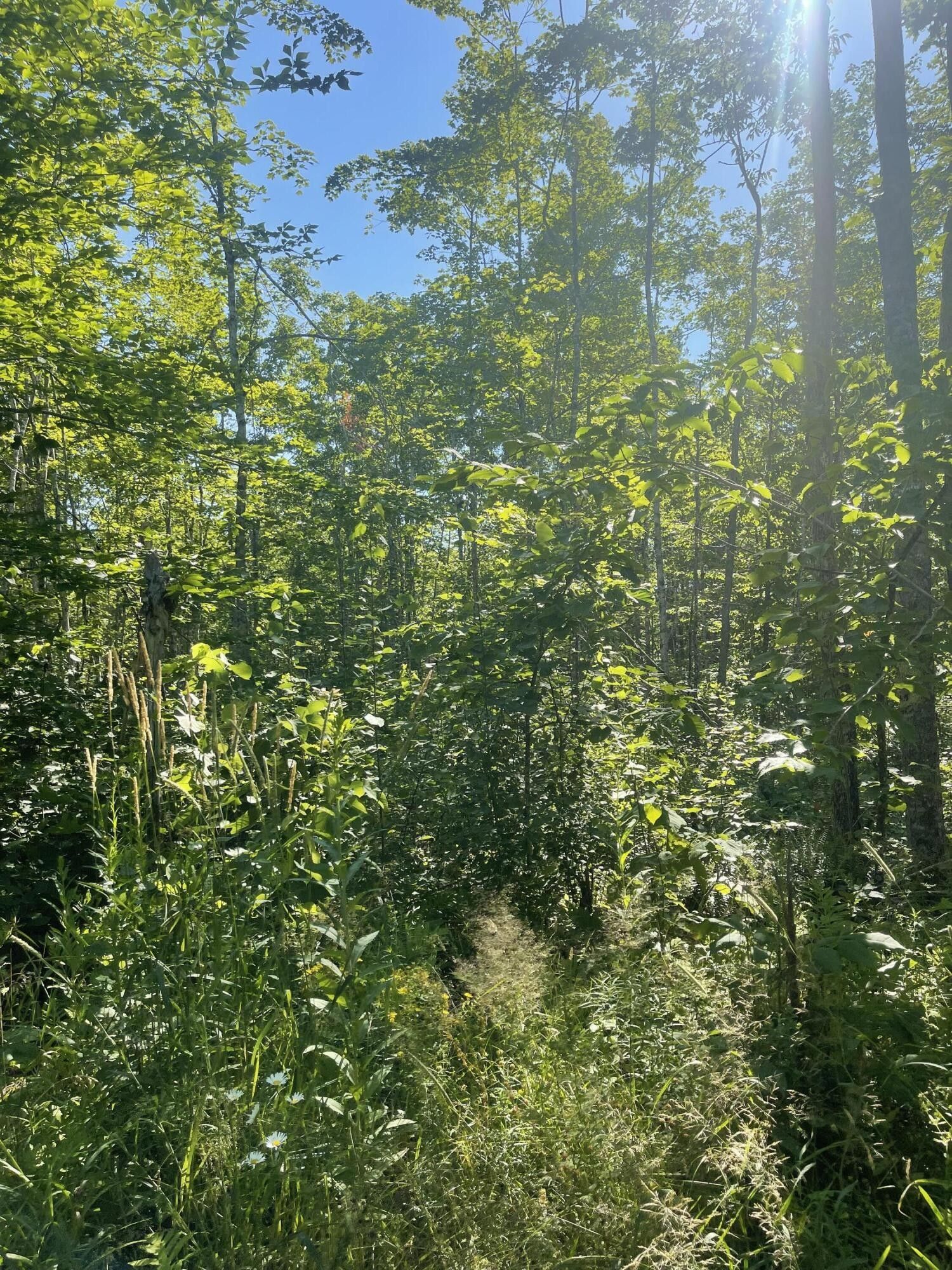 Bradford, Penobscot County, ME Undeveloped Land for sale Property ID