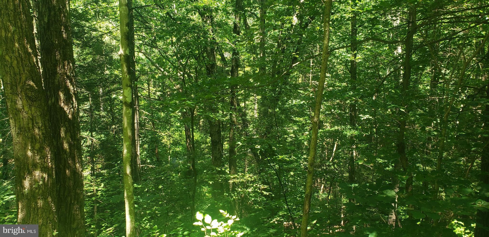 Mount Jackson, Shenandoah County, VA Farms and Ranches, Homesites for sale Property ID