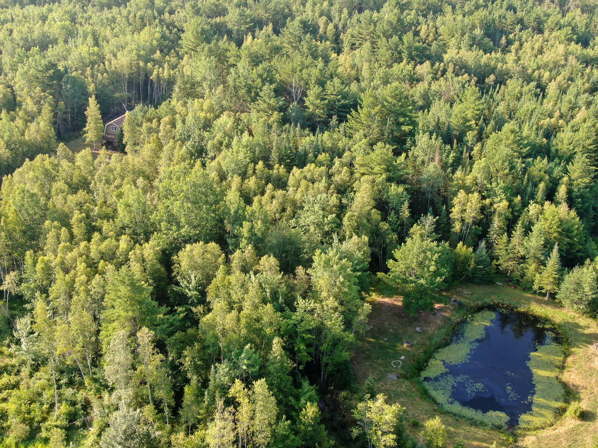Greenbush, Penobscot County, ME Lakefront Property, Waterfront Property