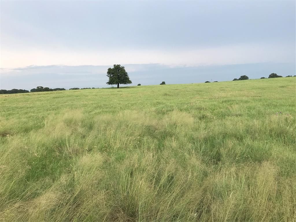 Alvord, Wise County, TX Undeveloped Land for sale Property ID