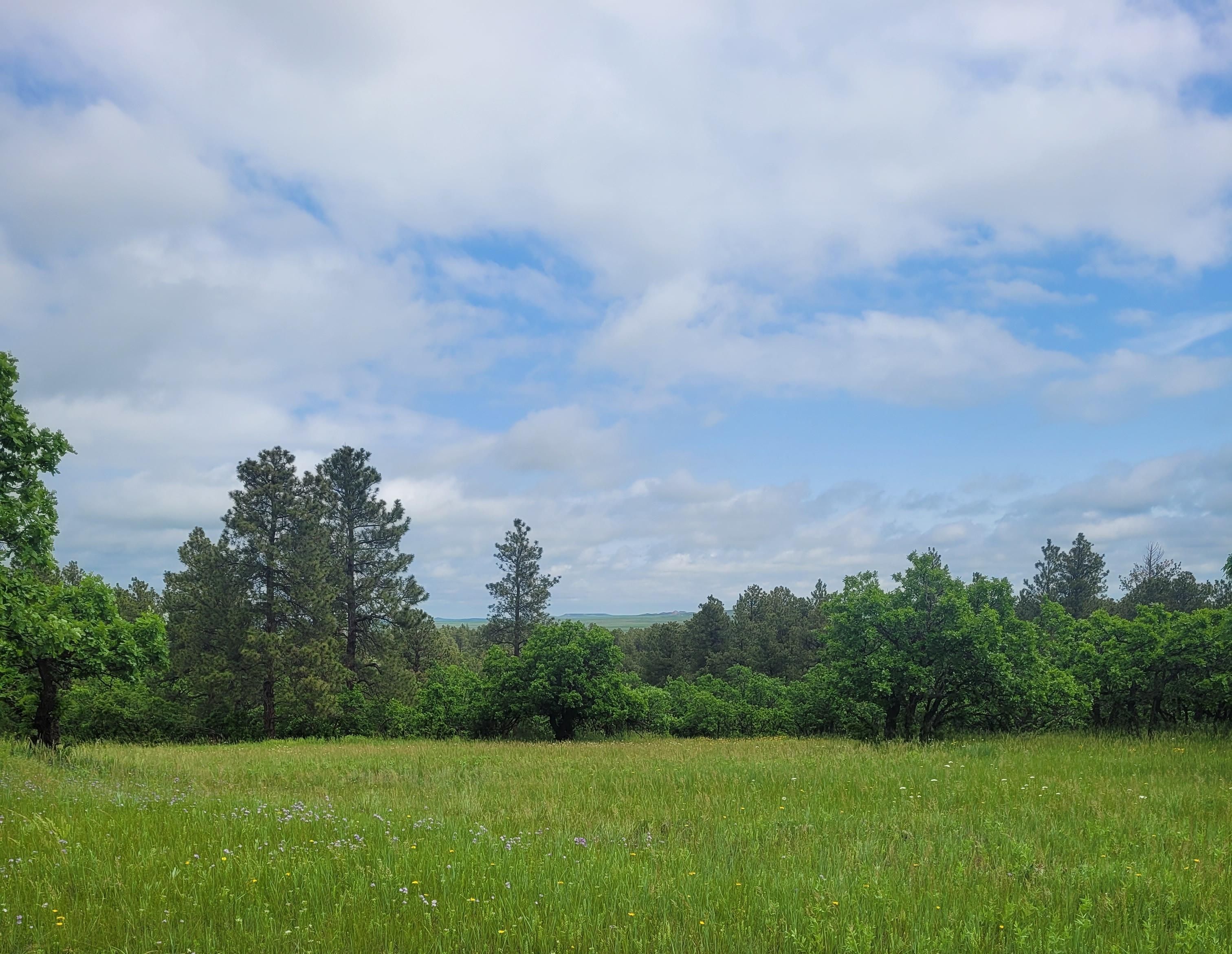Hulett, Crook County, WY Recreational Property, Hunting Property for