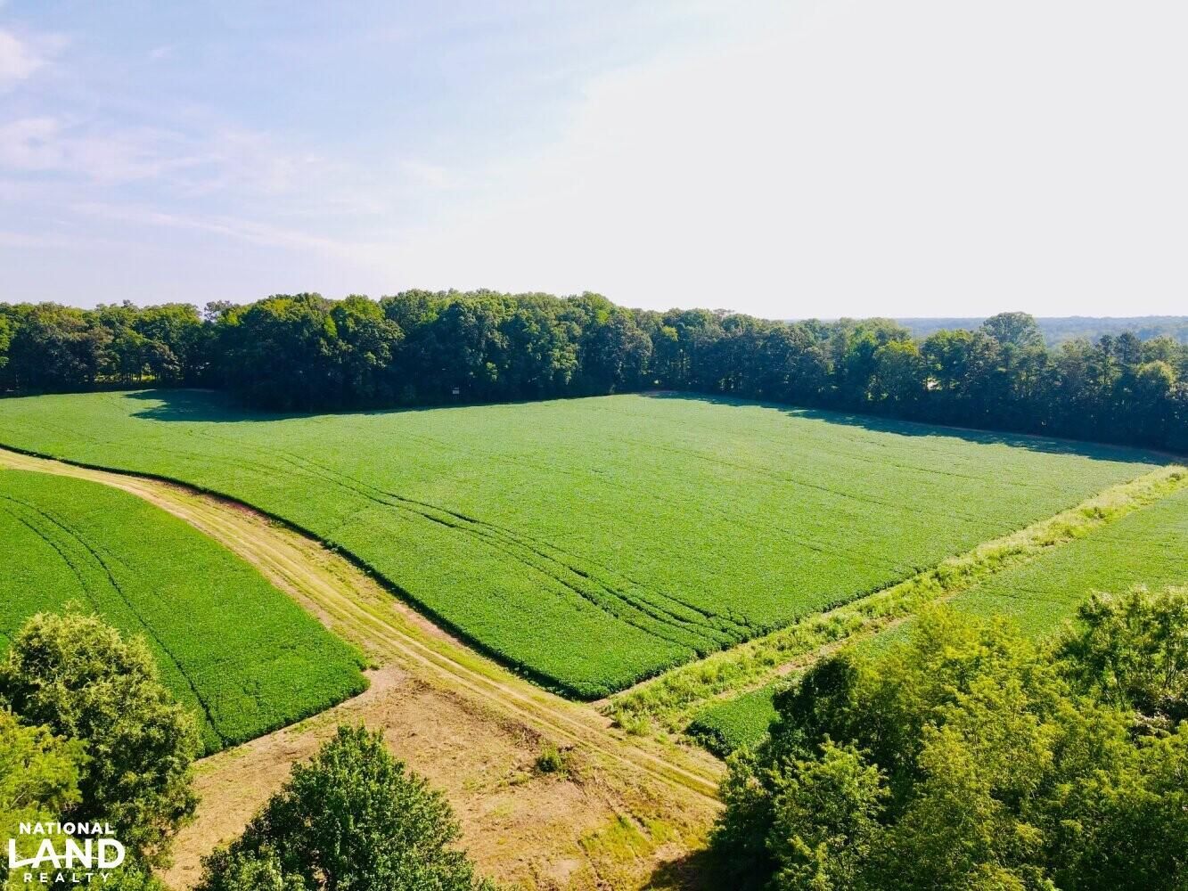 Powhatan, Powhatan County, VA Recreational Property, Hunting Property