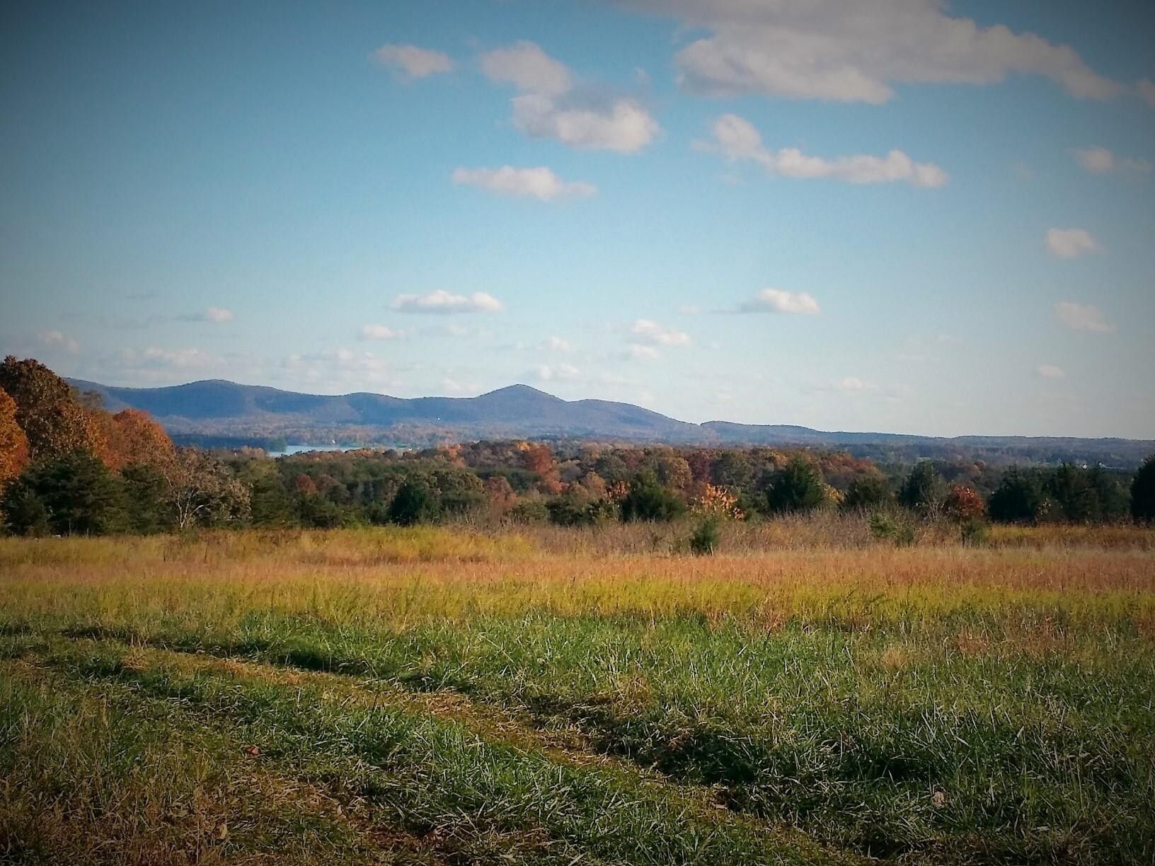 Franklin County, VA Farms and Ranches for sale Property ID