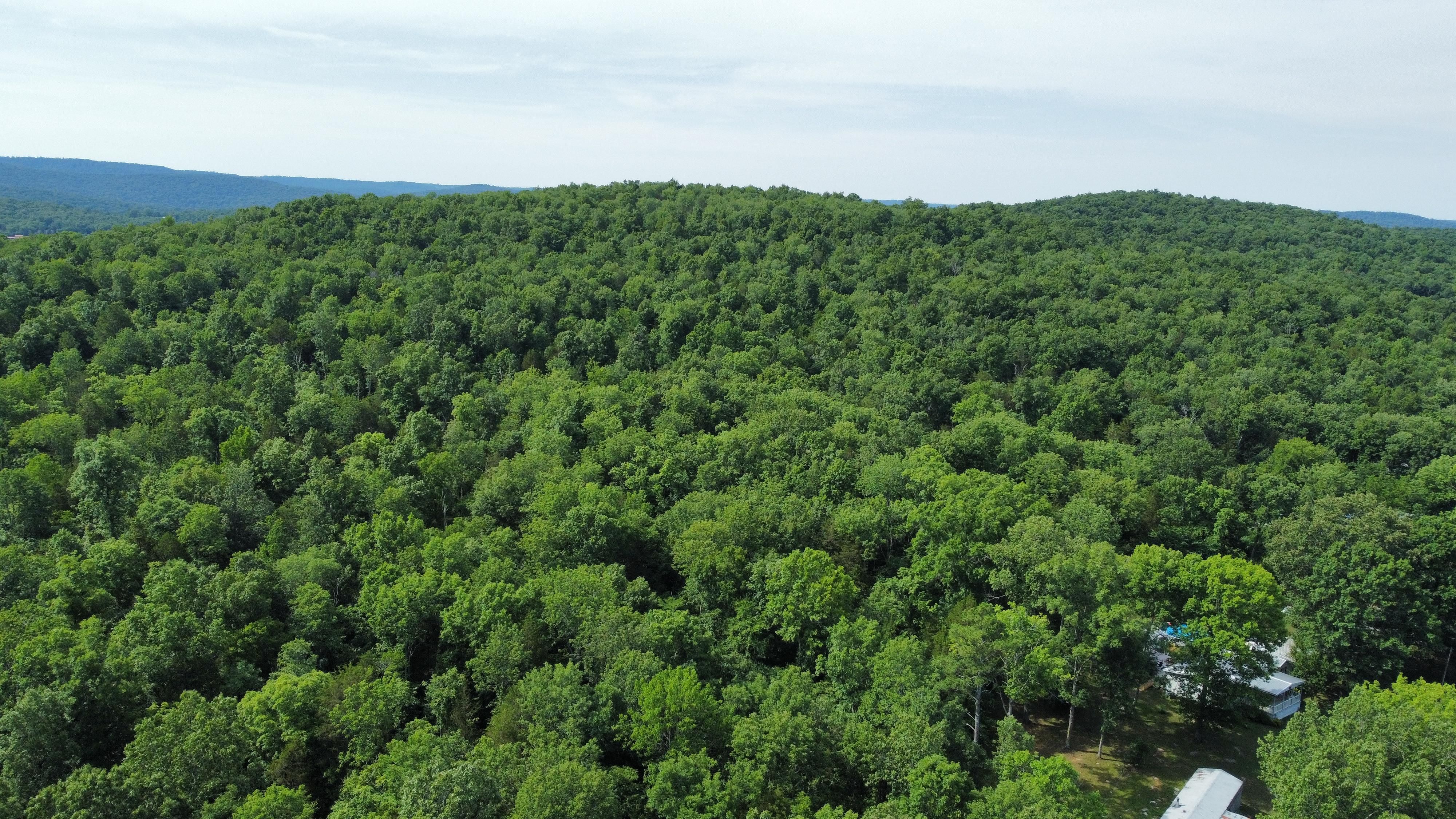 County Road 8, Woodville, AL 35776 LandWatch