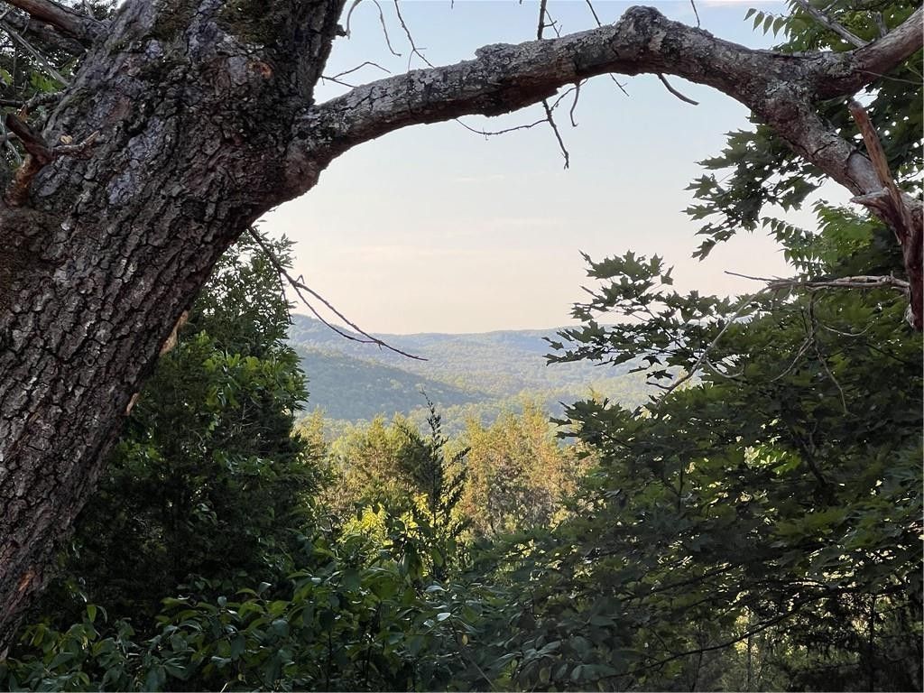 Holiday Island, Carroll County, AR Undeveloped Land, Homesites for sale