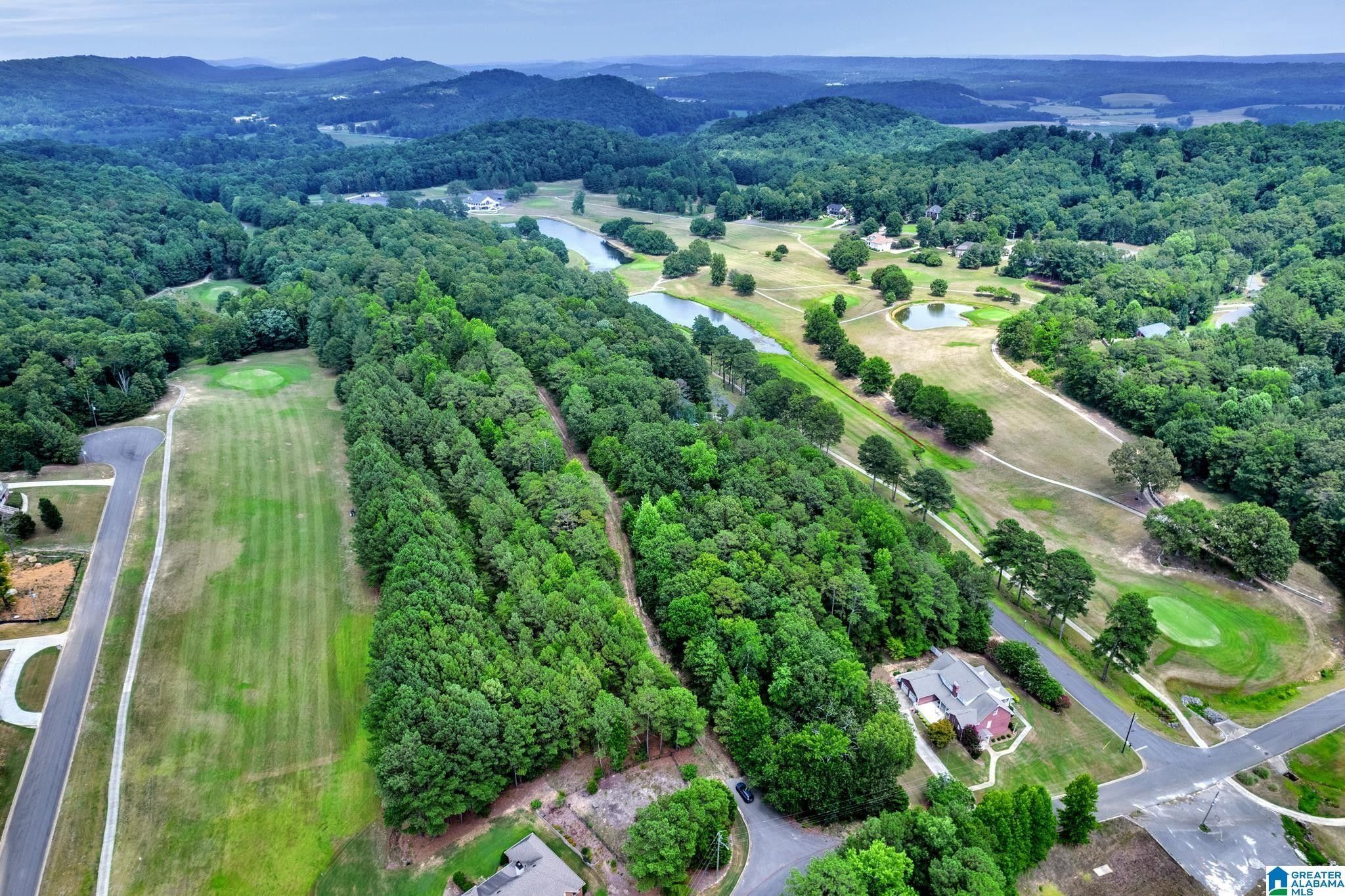 Oneonta, Blount County, AL Undeveloped Land for sale Property ID