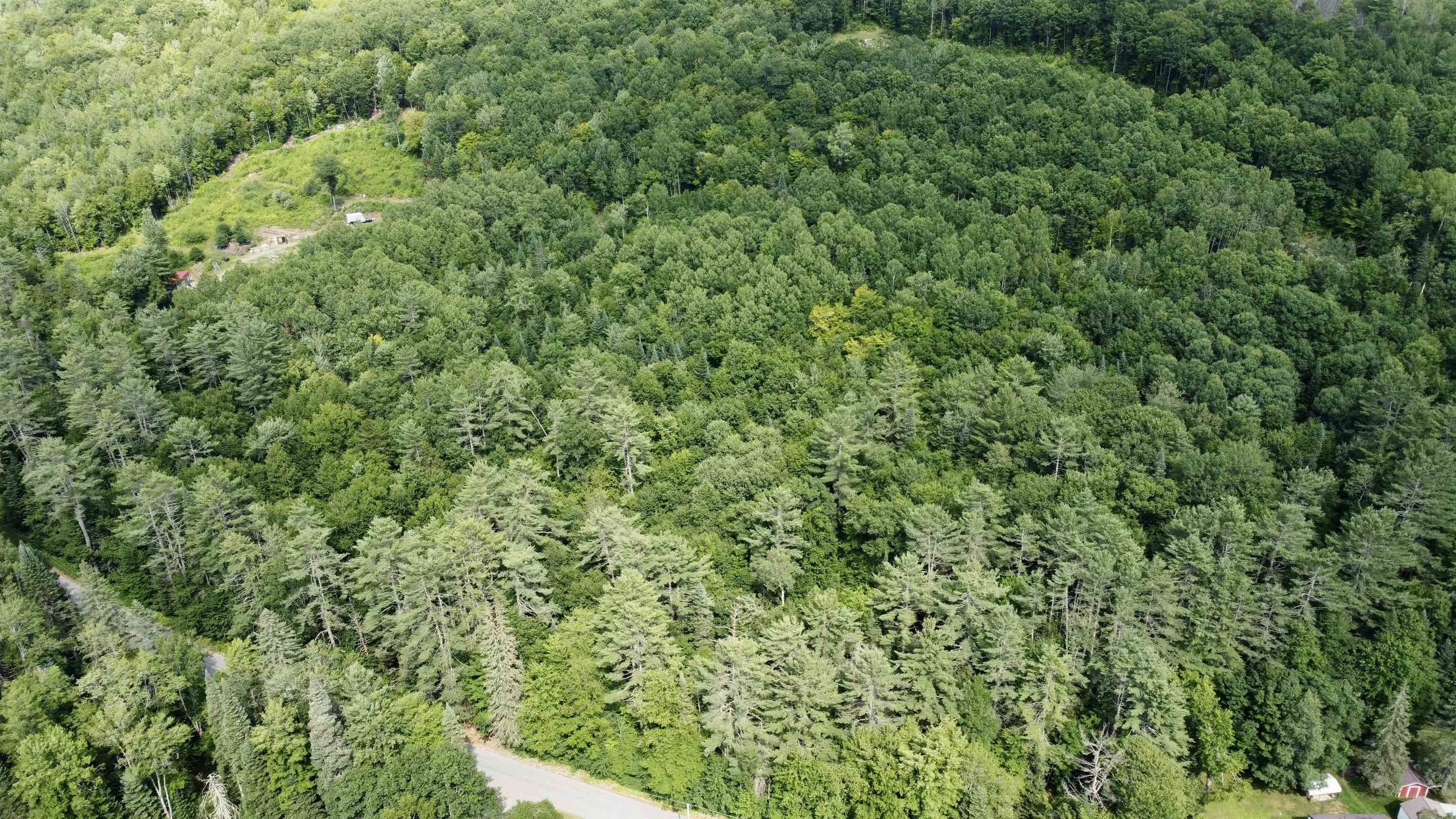 Lisbon, Grafton County, NH Undeveloped Land, Lakefront Property