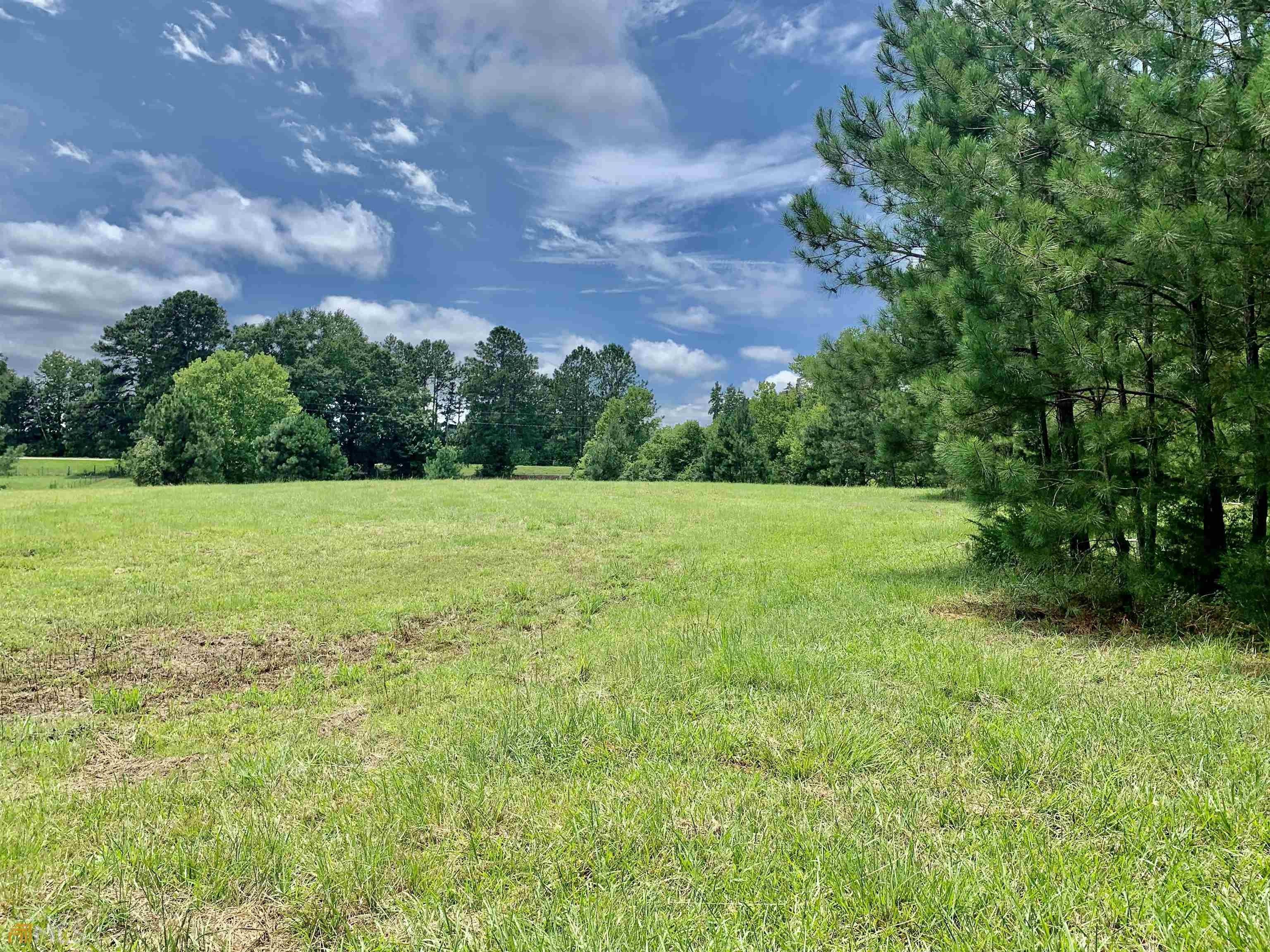 Tignall, Wilkes County, GA Undeveloped Land, Homesites for sale
