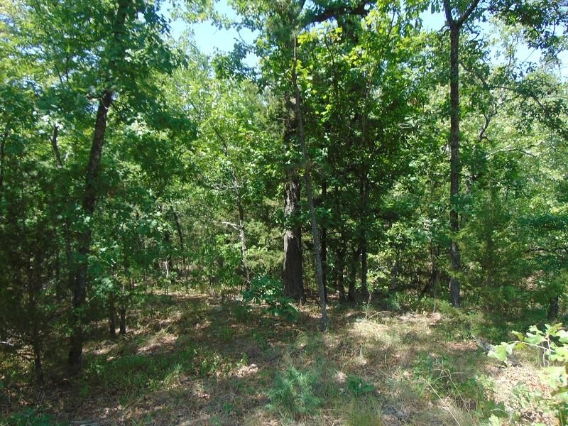 10 acres in Wister, OK, 74966 LandWatch