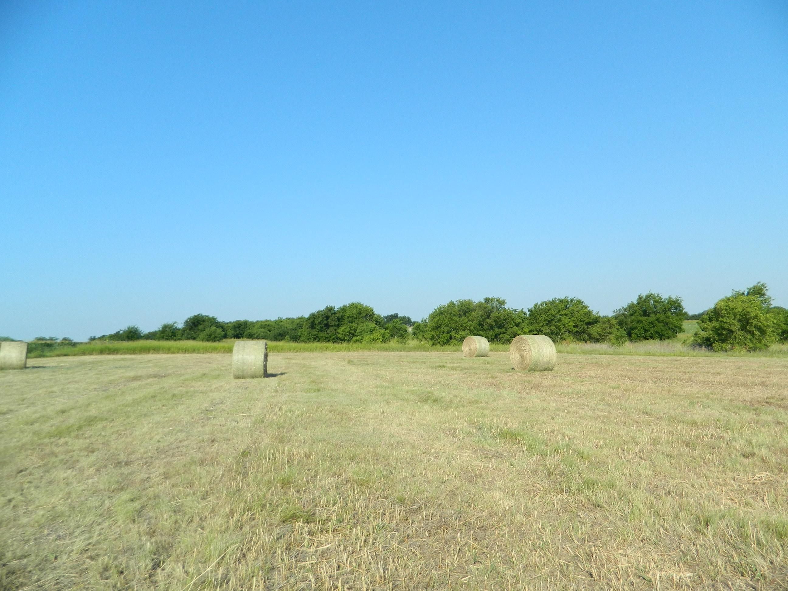 Italy, Ellis County, TX Farms and Ranches for sale Property ID