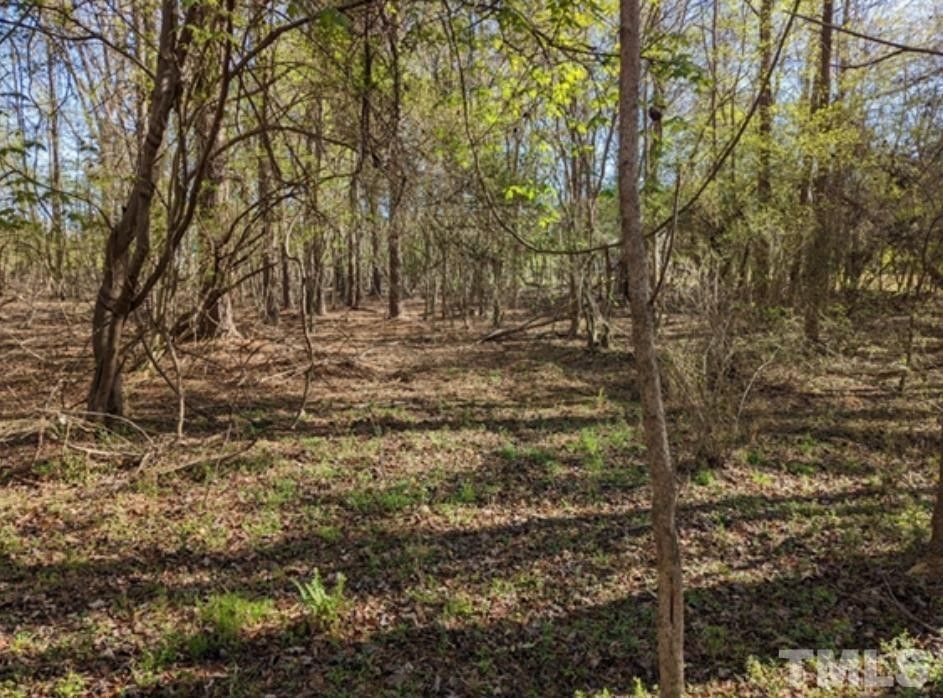 Smithfield, Johnston County, NC Undeveloped Land for sale Property ID
