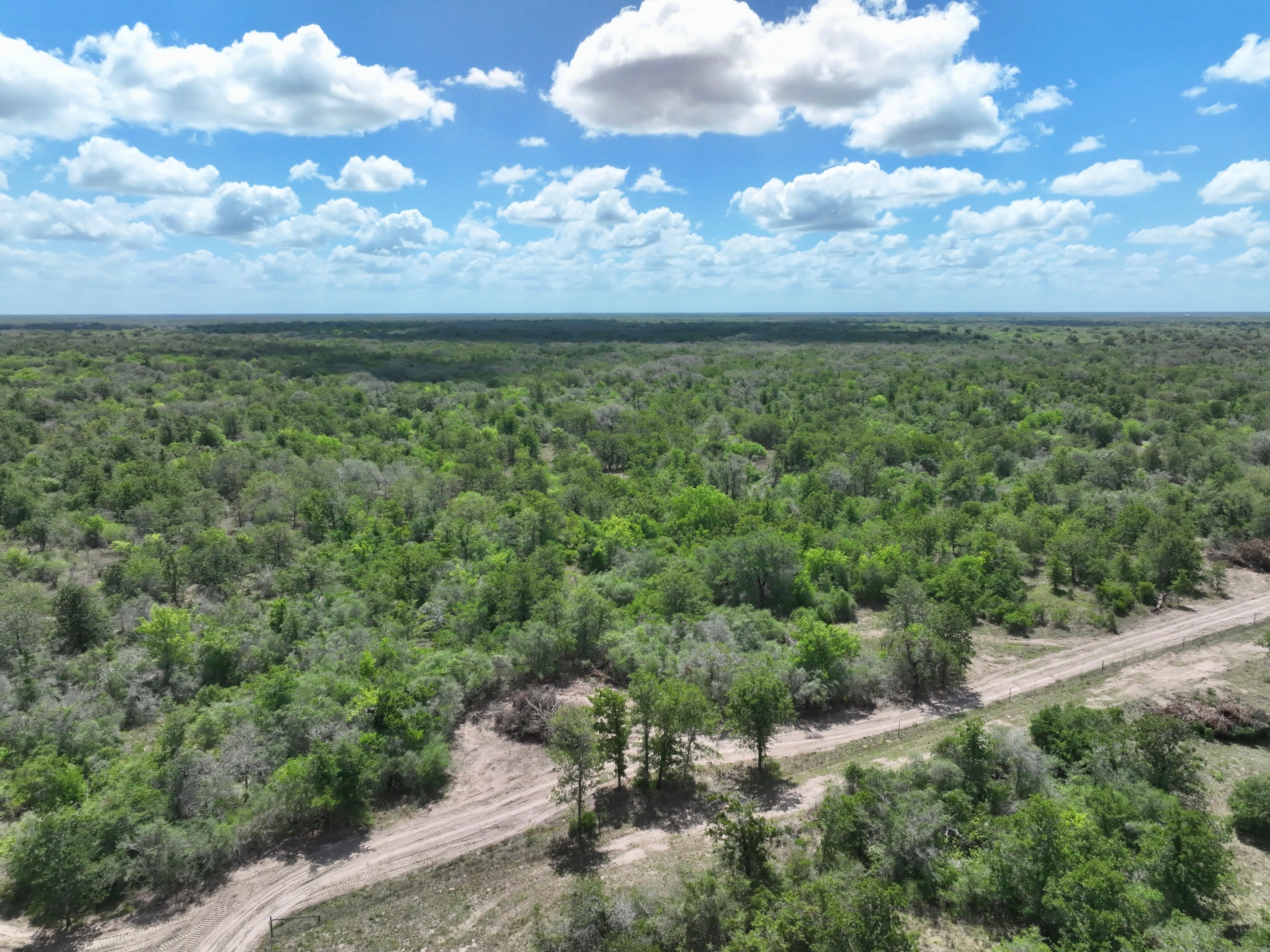 Goliad, Goliad County, TX Farms and Ranches, Undeveloped Land, Hunting
