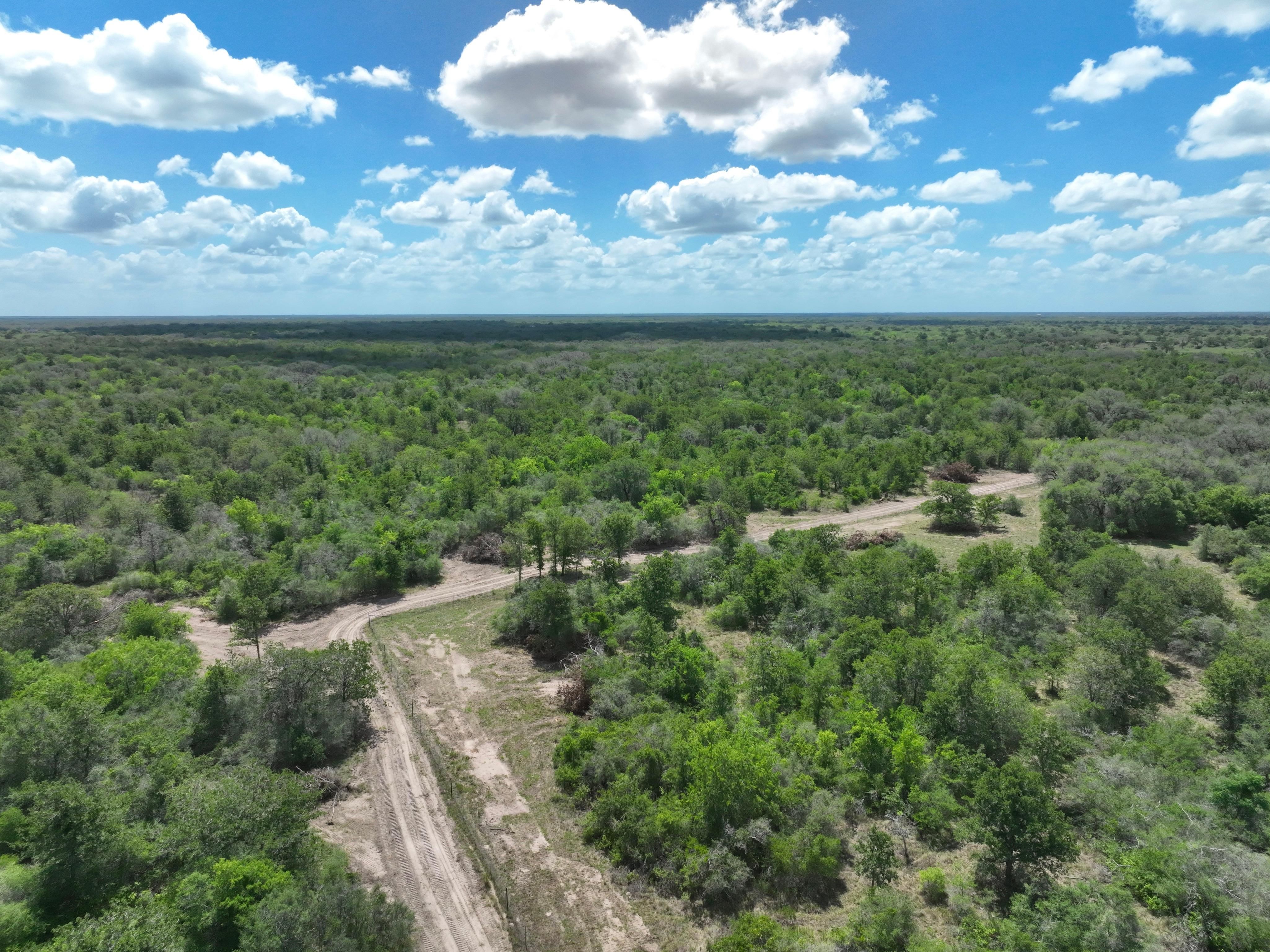 Goliad, Goliad County, TX Farms and Ranches, Undeveloped Land, Hunting