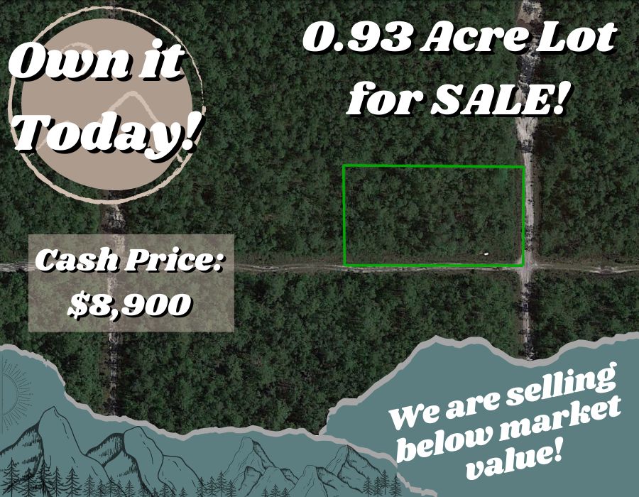 Hastings, Flagler County, FL Recreational Property, Undeveloped Land