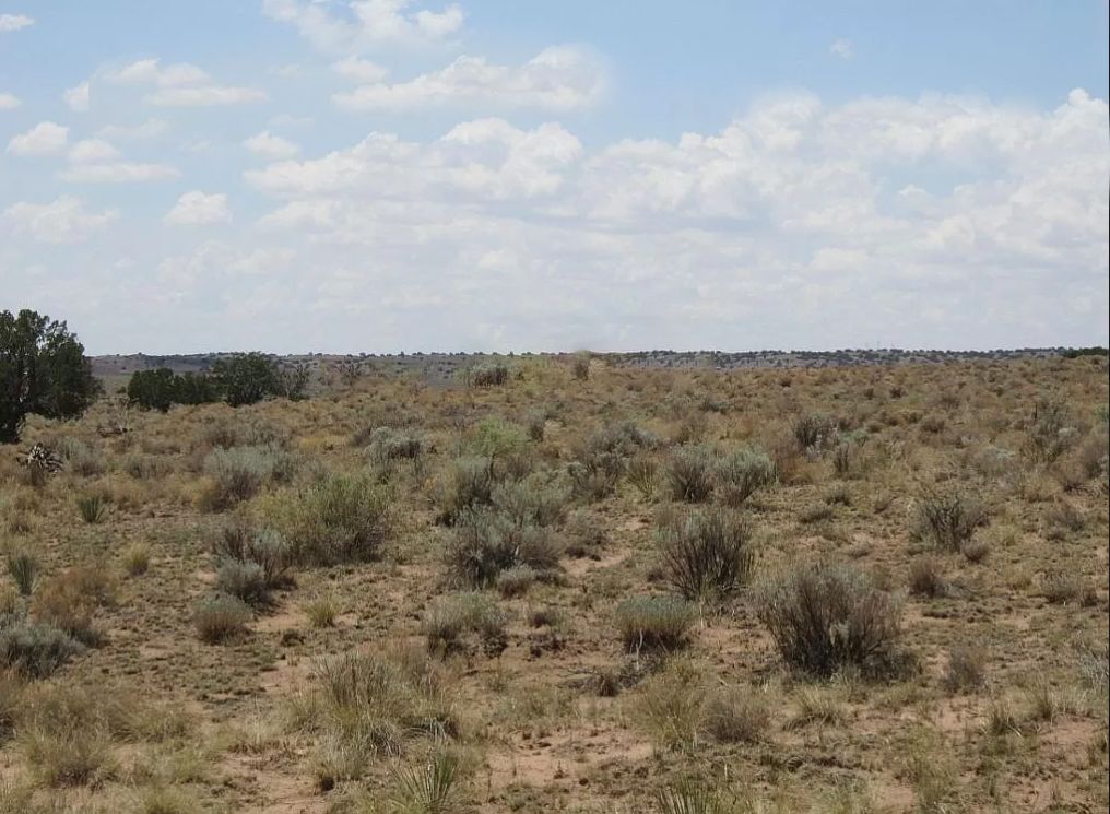 Holbrook, Navajo County, AZ Recreational Property, Undeveloped Land, Homesites for sale Property
