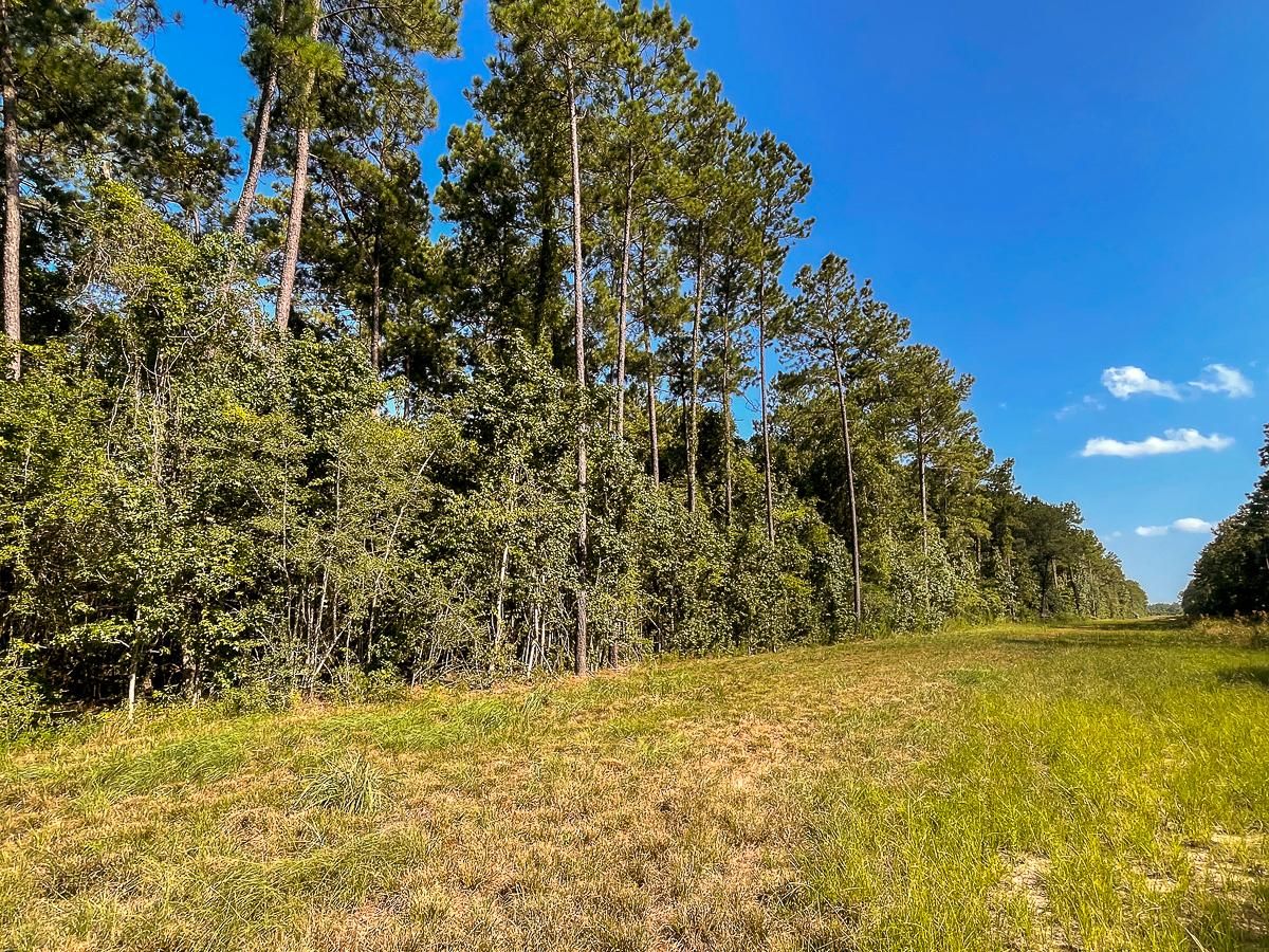 Cr 300, Plum Grove, TX 77535 LandWatch