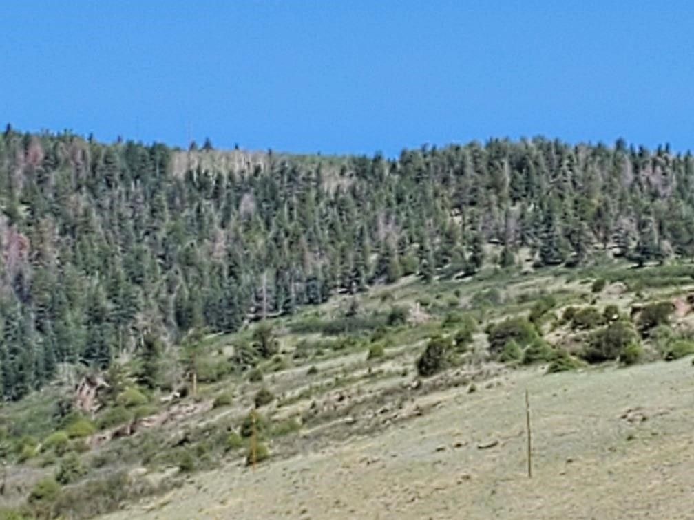 Tres Piedras, Taos County, NM Undeveloped Land, Homesites for sale