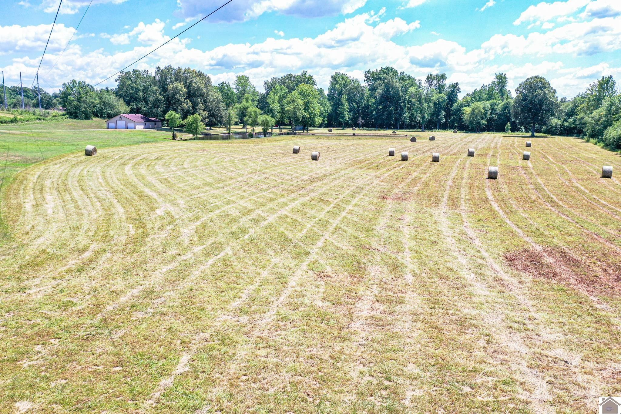 Paducah, McCracken County, KY Farms and Ranches, House for sale