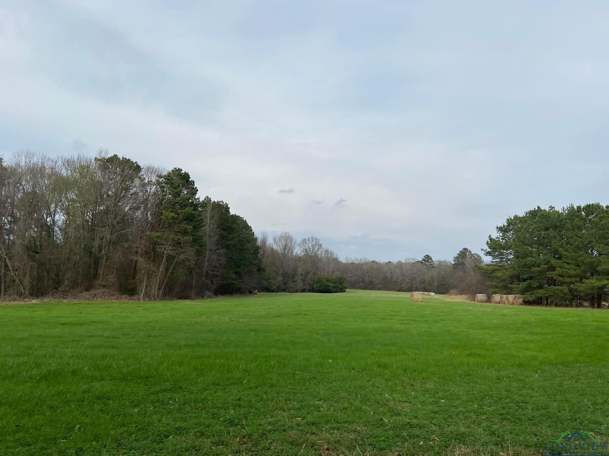 Henderson, Rusk County, TX Undeveloped Land for sale Property ID