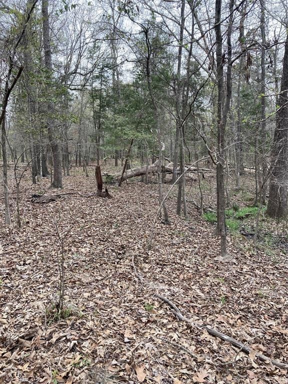 Tyler, Smith County, TX Undeveloped Land for sale Property ID