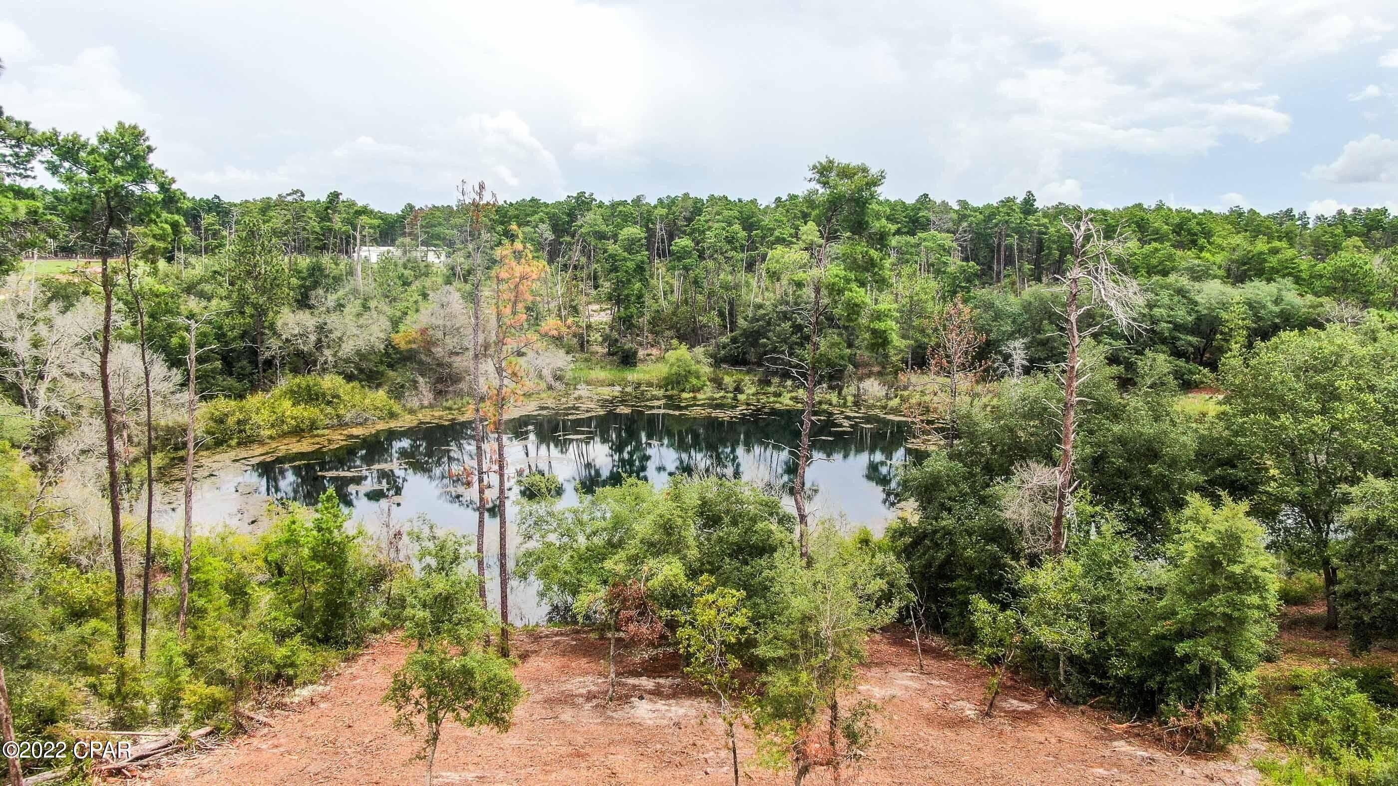 Chipley, Washington County, FL Undeveloped Land, Lakefront Property