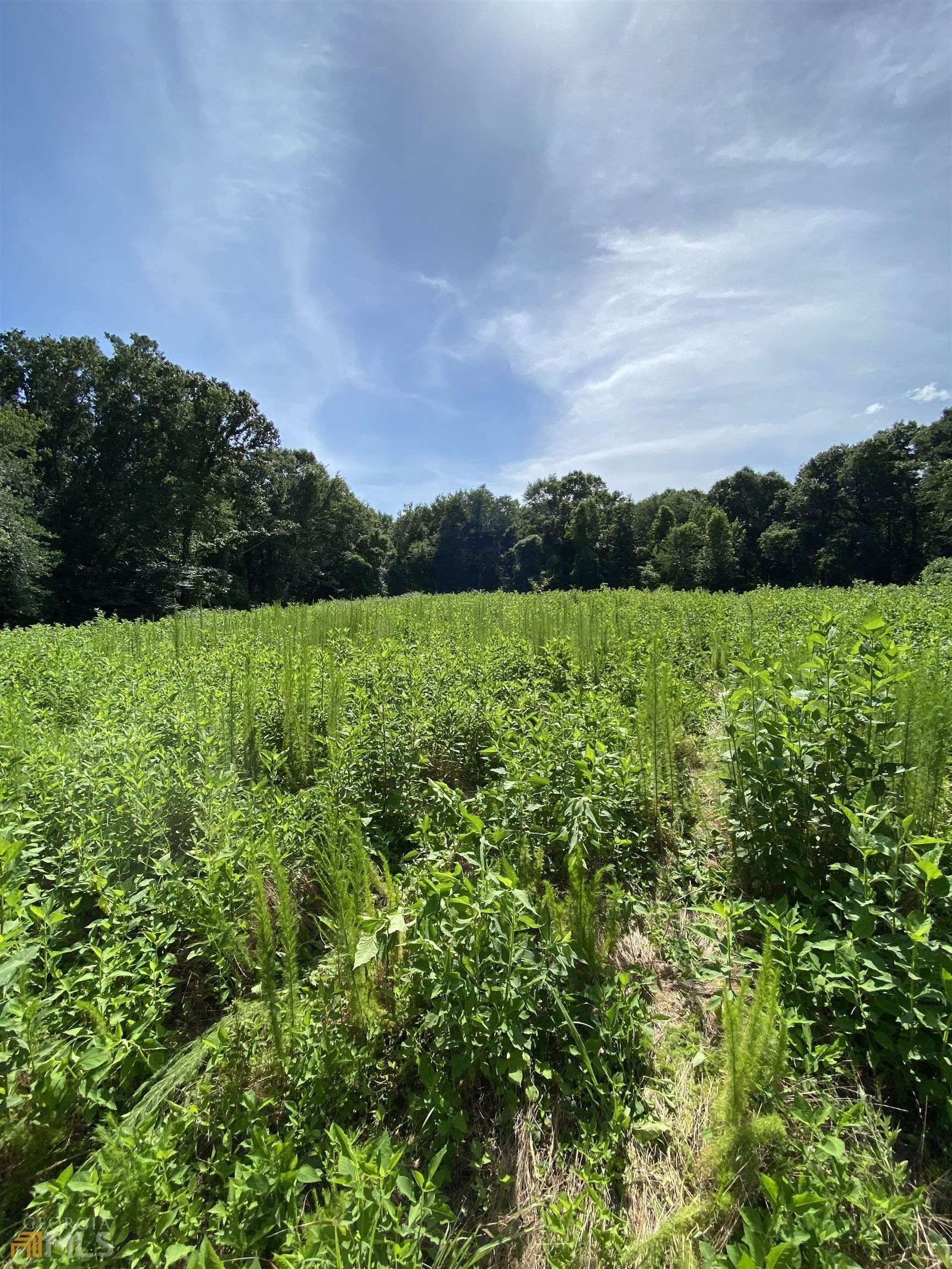 Maysville, Jackson County, GA Undeveloped Land for sale Property ID