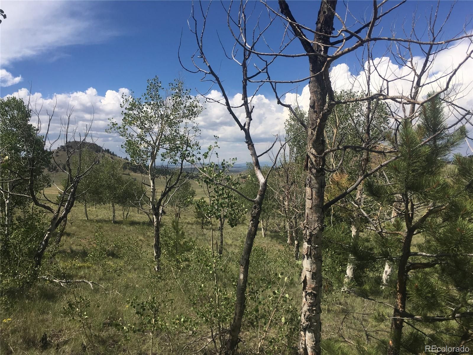 Hartsel, Park County, CO Recreational Property, Undeveloped Land for