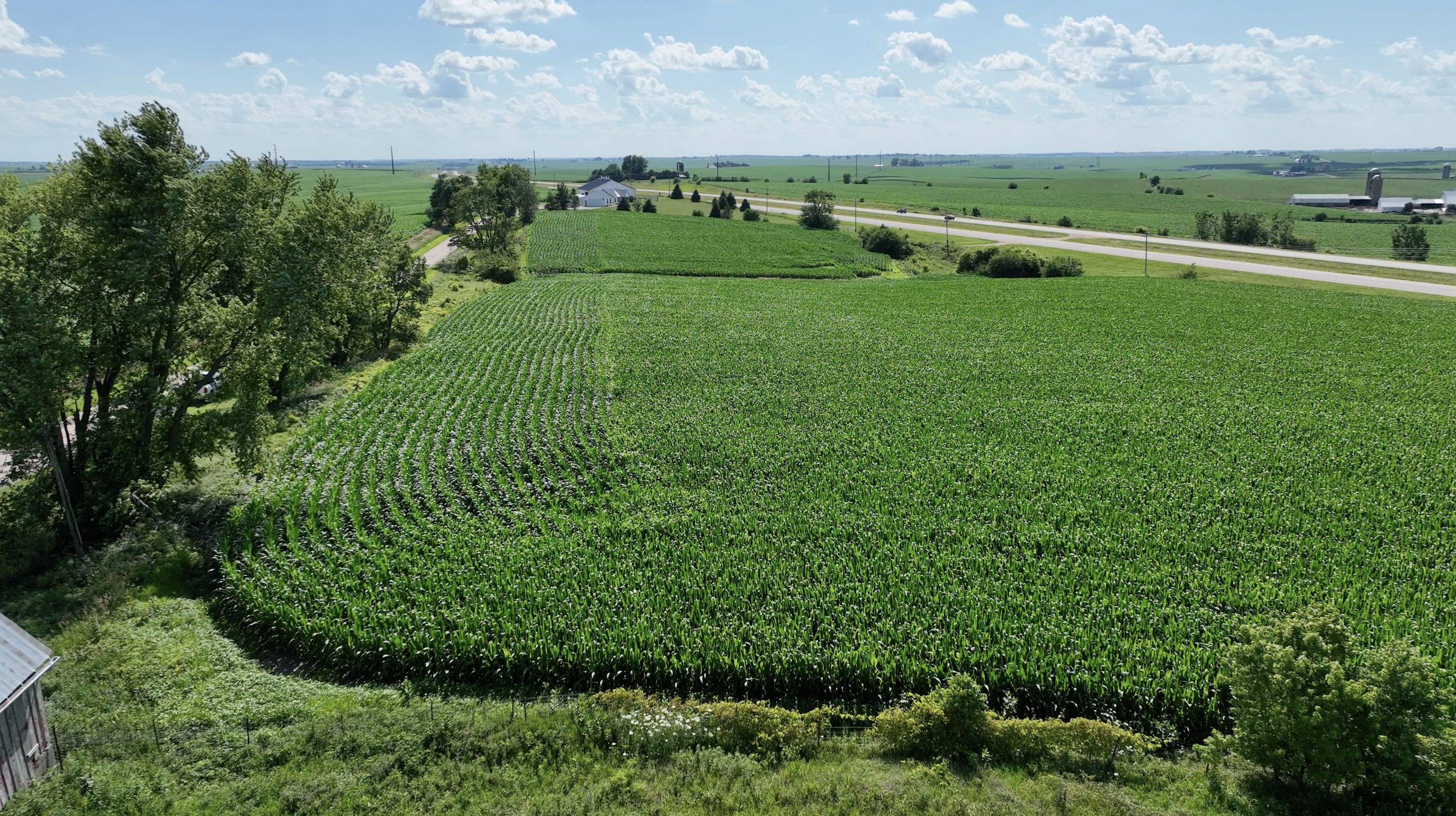 Bernard, Dubuque County, IA Farms and Ranches for auction Property ID
