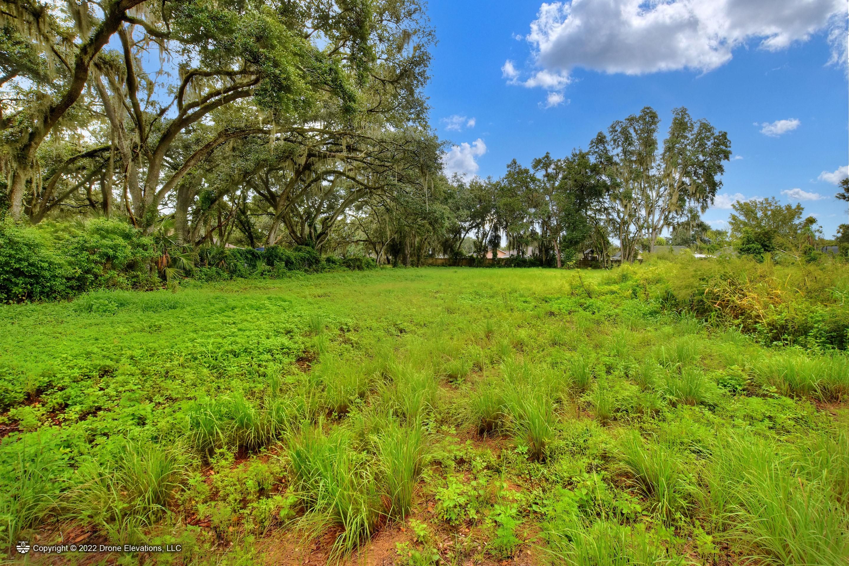 Plant City Hillsborough County FL Homesites For Sale Property ID