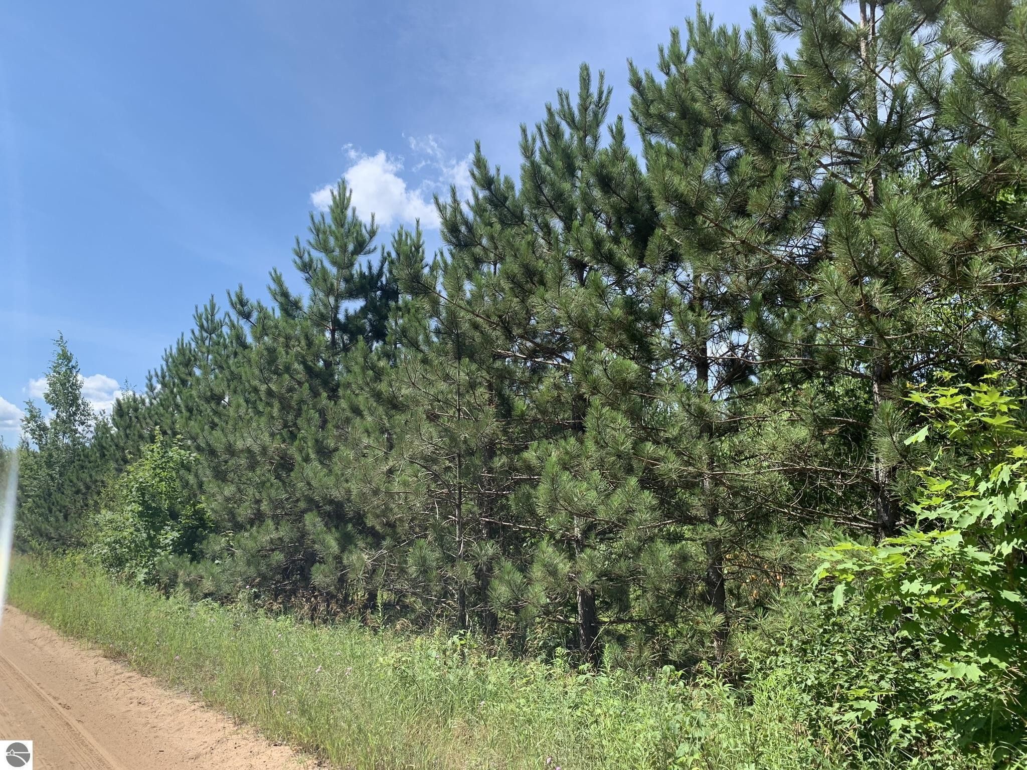Mancelona, Antrim County, MI Undeveloped Land, Lakefront Property