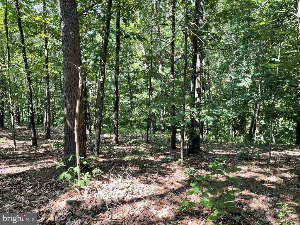 Warfordsburg, Fulton County, PA Undeveloped Land for sale Property ID