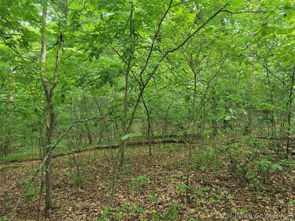 Four Seasons, Camden County, MO Undeveloped Land, Homesites for sale