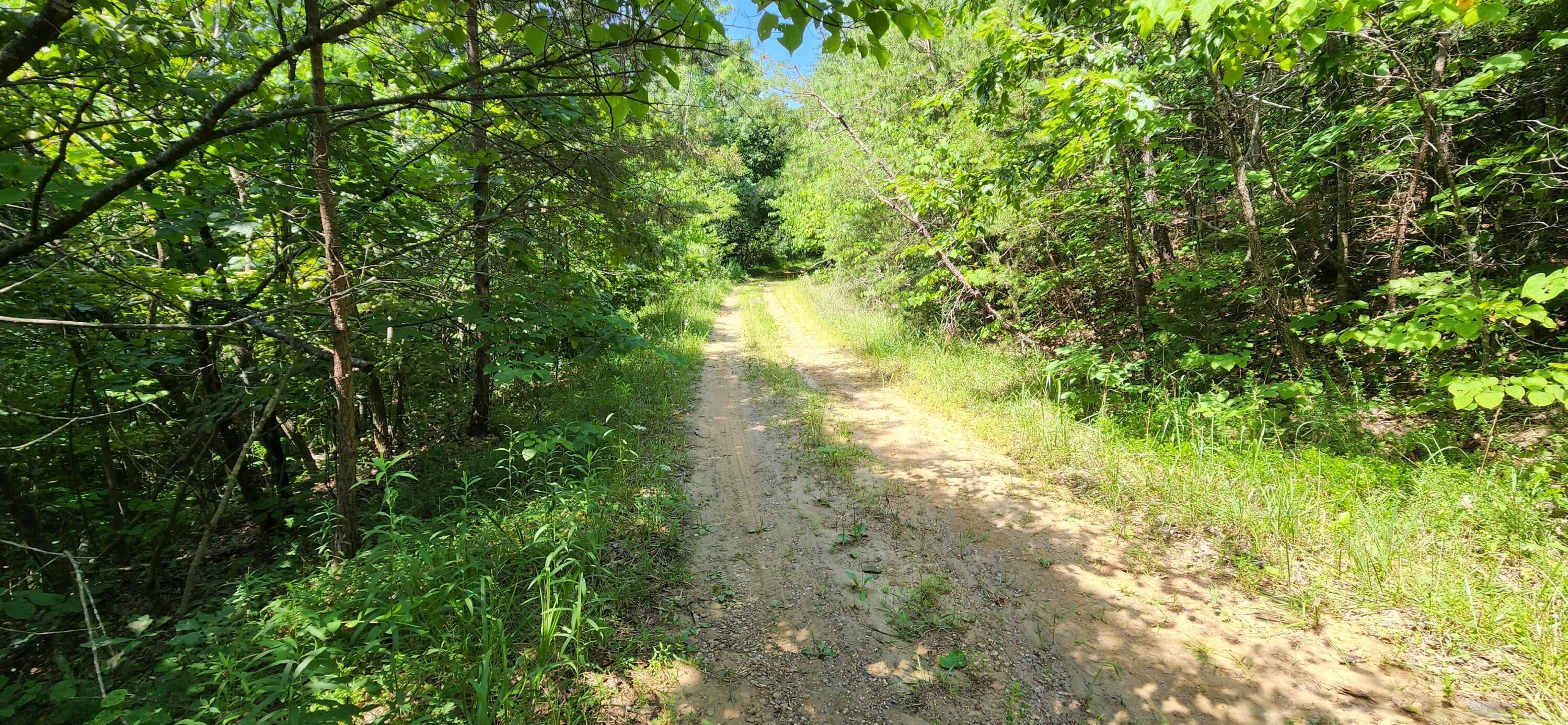 Rocky Mount, Franklin County, VA Undeveloped Land for sale Property ID