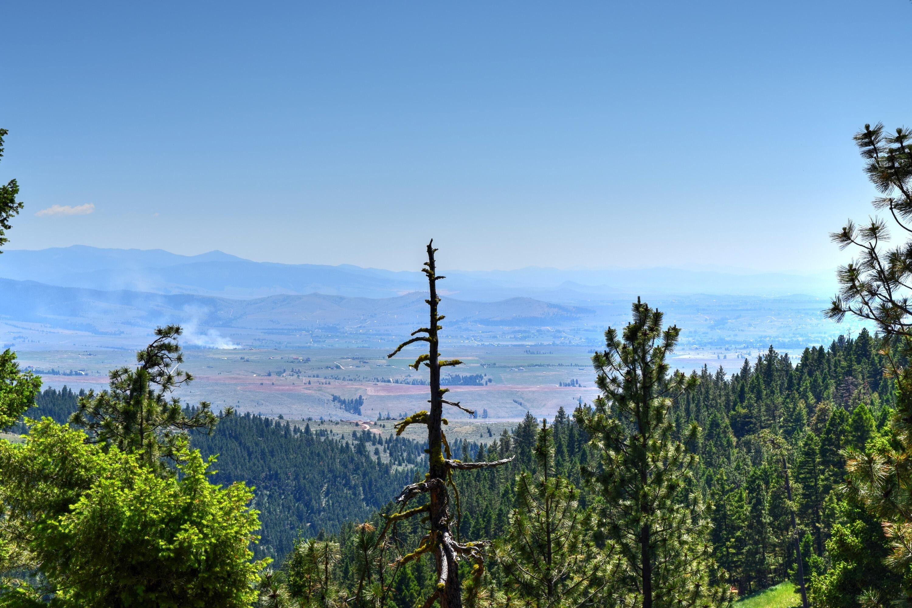 Florence, Missoula County, MT Undeveloped Land for sale Property ID