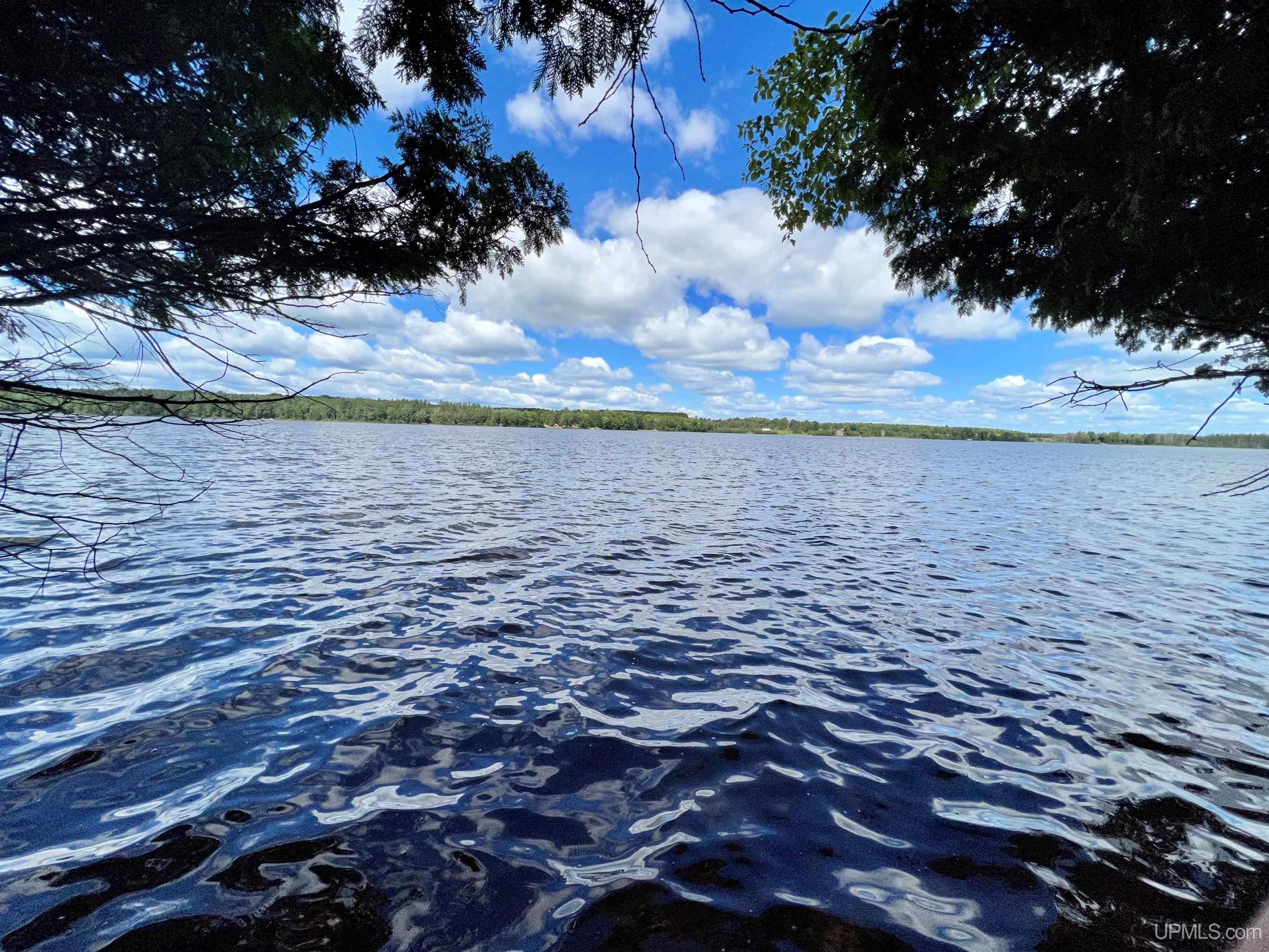 Iron River, Iron County, MI Farms and Ranches, Lakefront Property