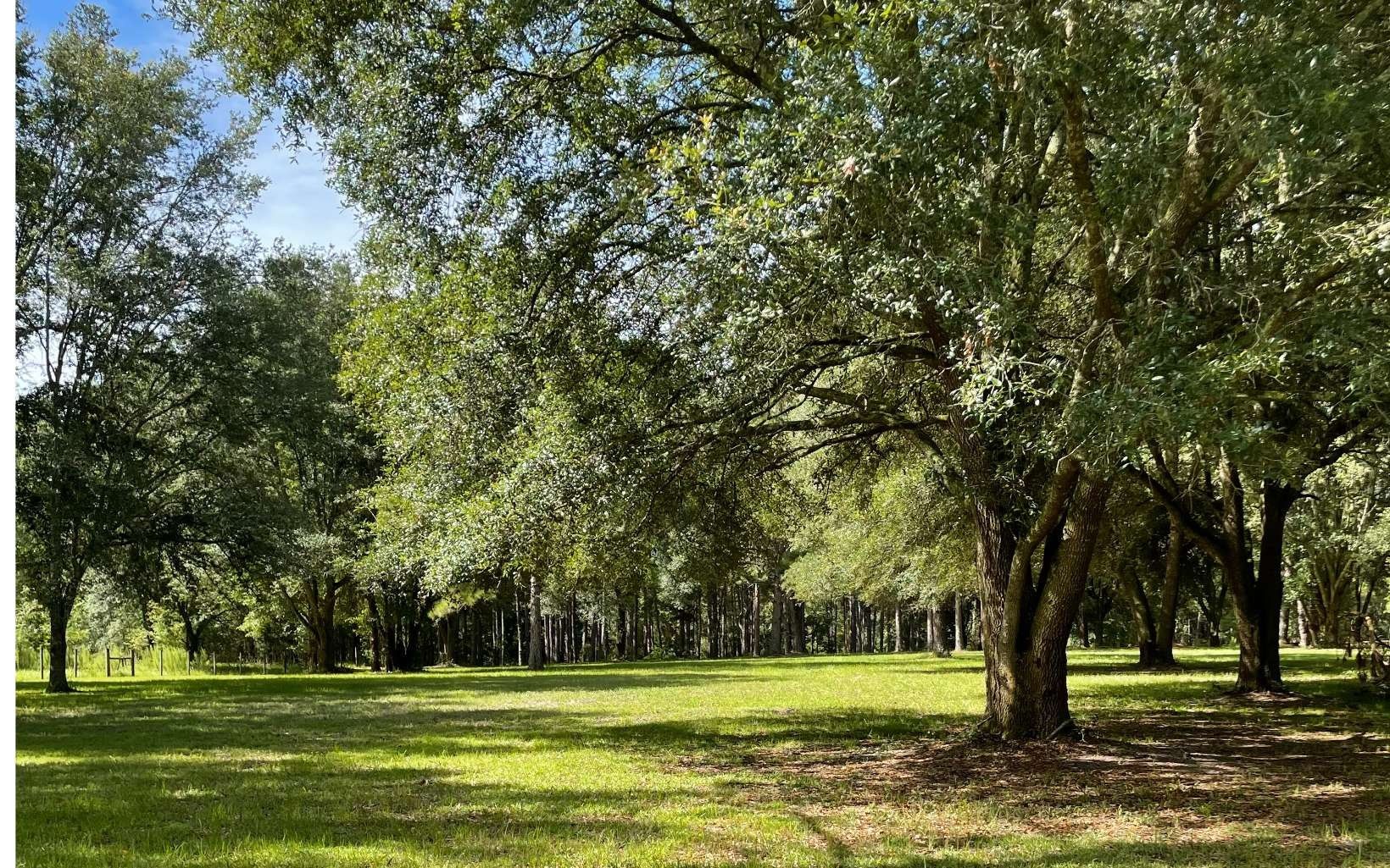 Mcalpin, Suwannee County, FL Undeveloped Land, Homesites for sale