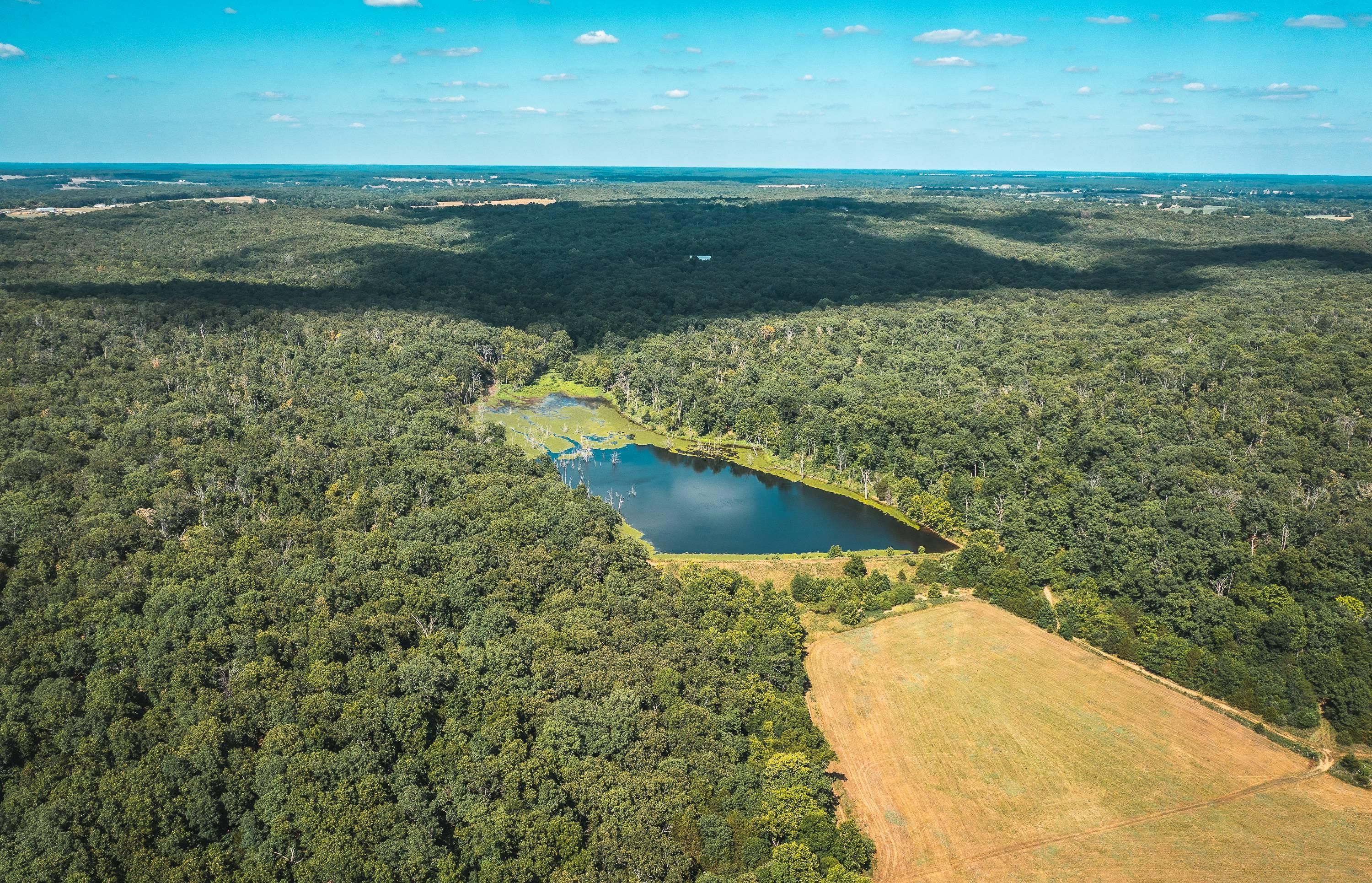 Collins, Saint Clair County, MO Farms and Ranches, Recreational