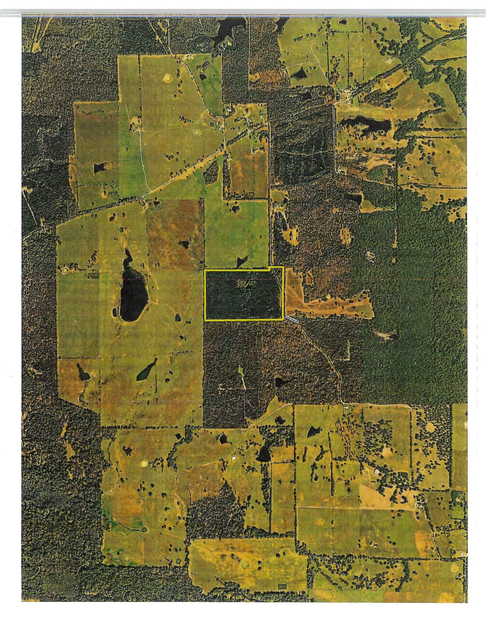 Clarksville, Red River County, TX Timberland Property, Hunting Property