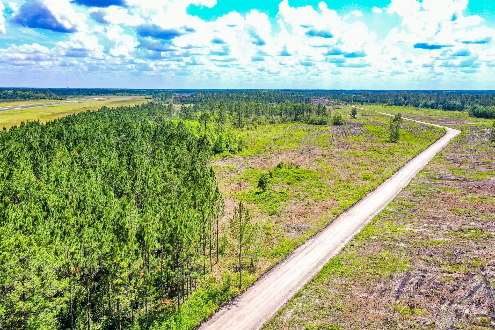 Nahunta, Brantley County, GA Recreational Property, Timberland Property