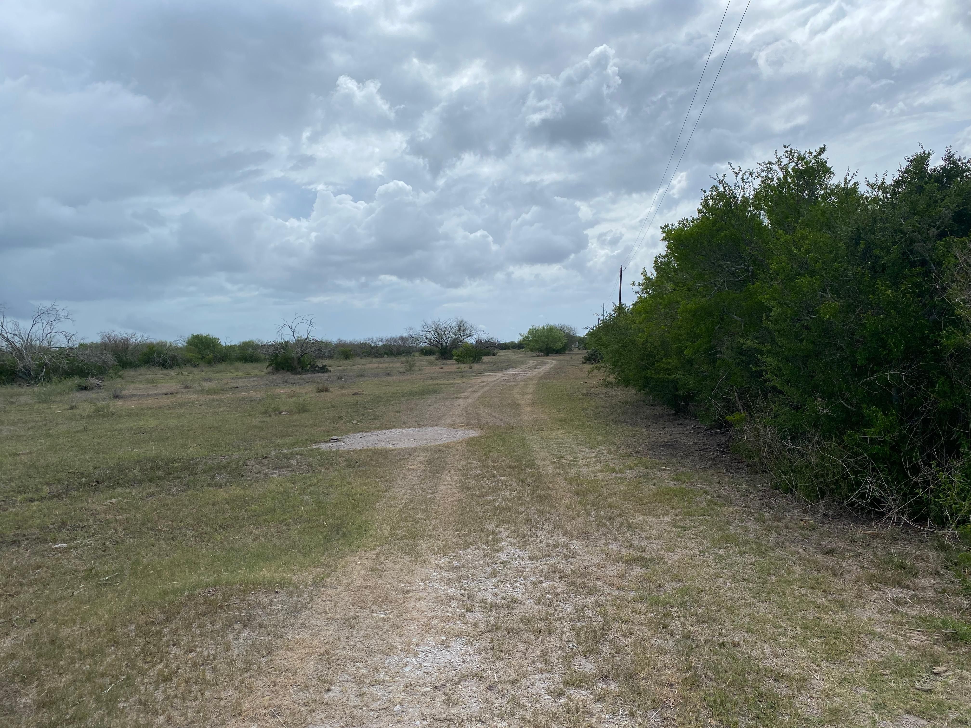 5881 FM796, Skidmore, TX 78389 MLS F112434A LandWatch