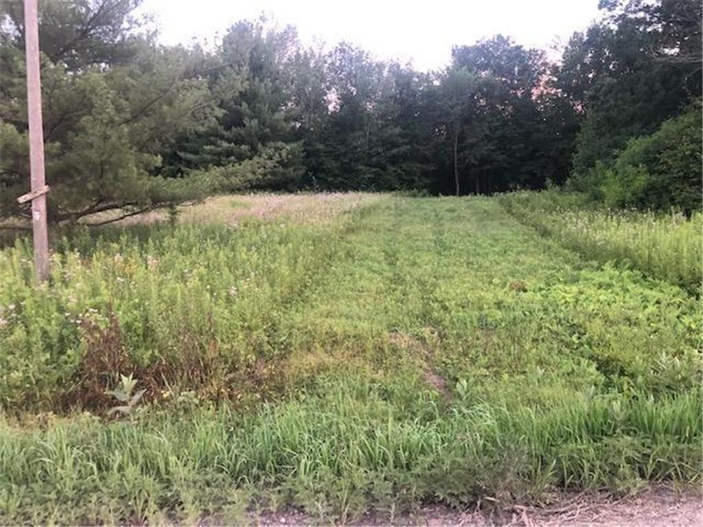 Stanchfield, Isanti County, MN Undeveloped Land for sale Property ID