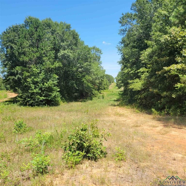 Harleton, Harrison County, TX for sale Property ID 414355522 LandWatch